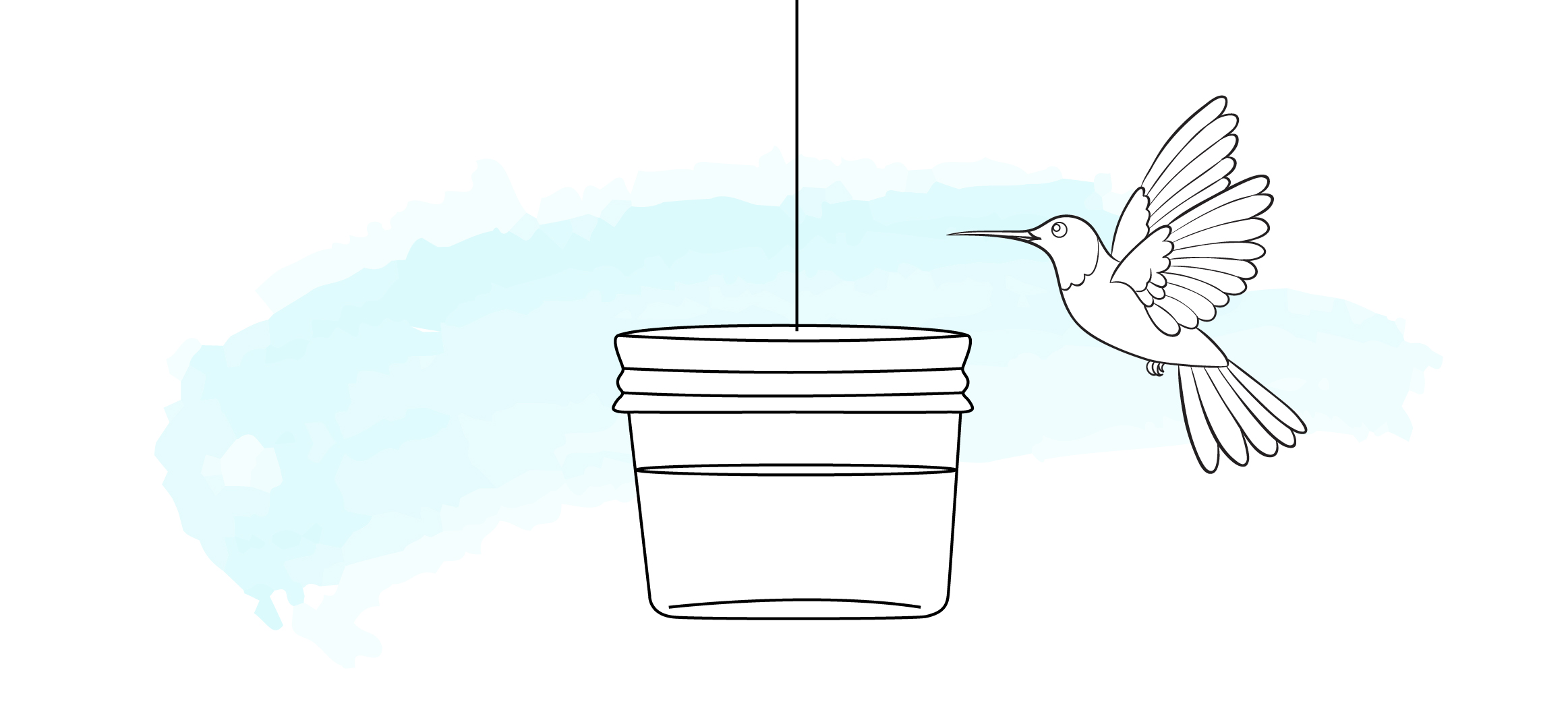 Hummingbird DIY bird feeders