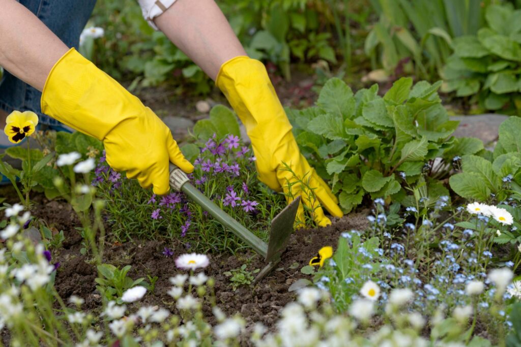 How to Keep Weeds Out of Your Texas Garden