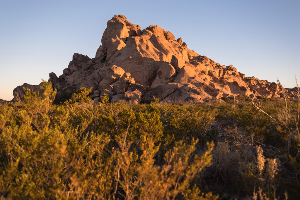 Where to Find Native American Art in Texas