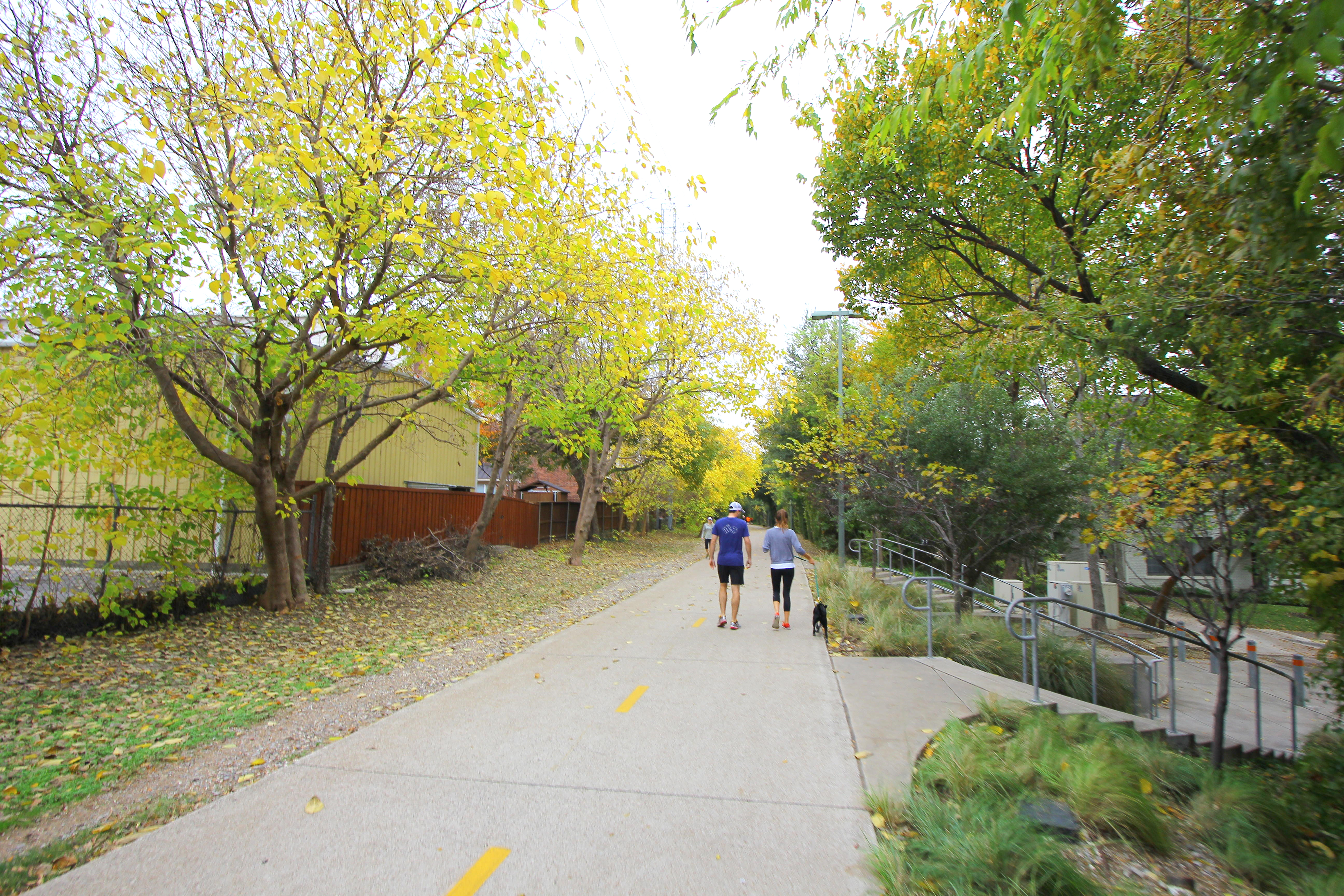 dog-friendly activities northeast texas