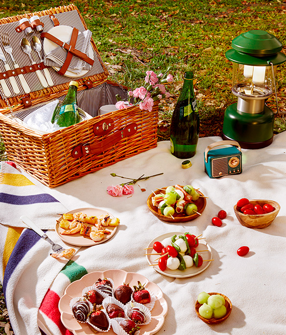 picnic planning guide