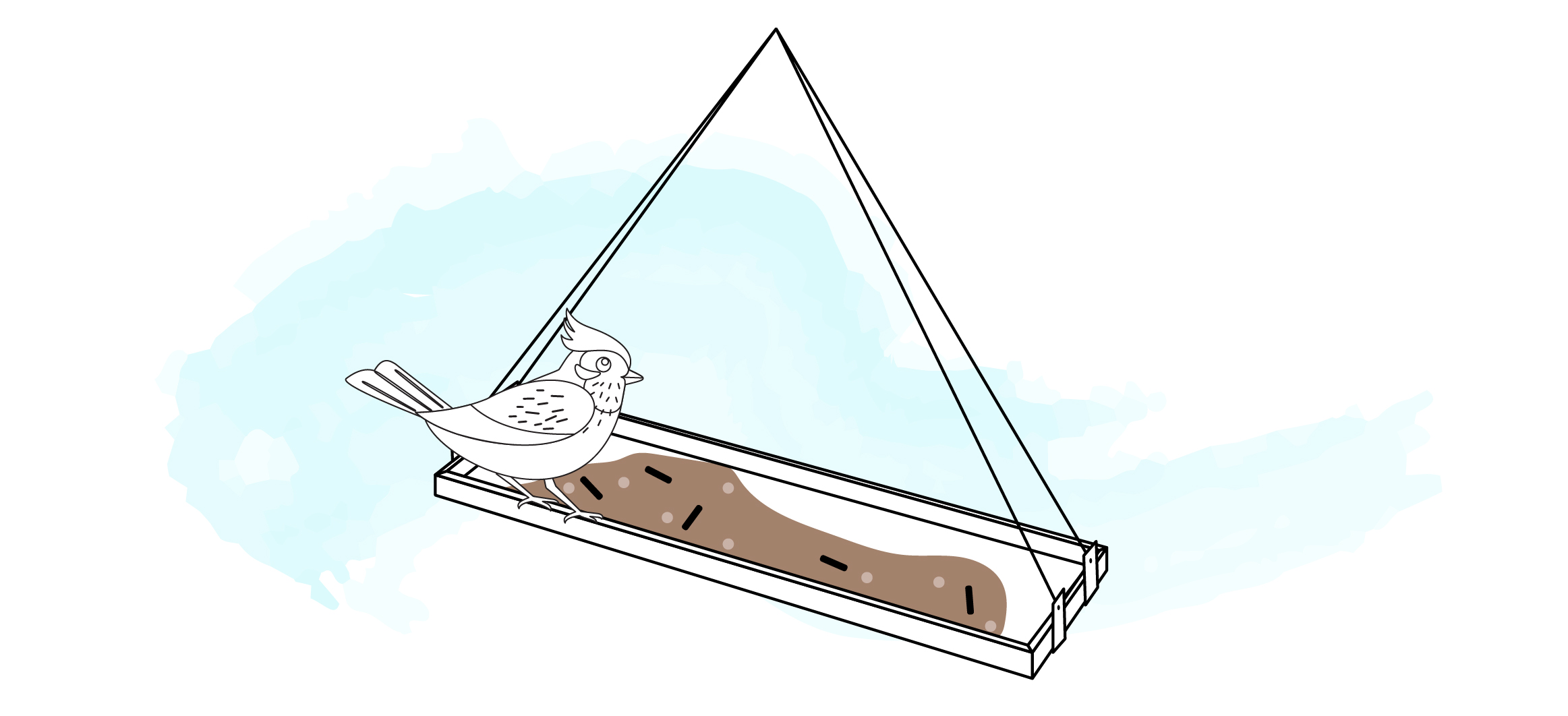 Platform DIY bird feeders