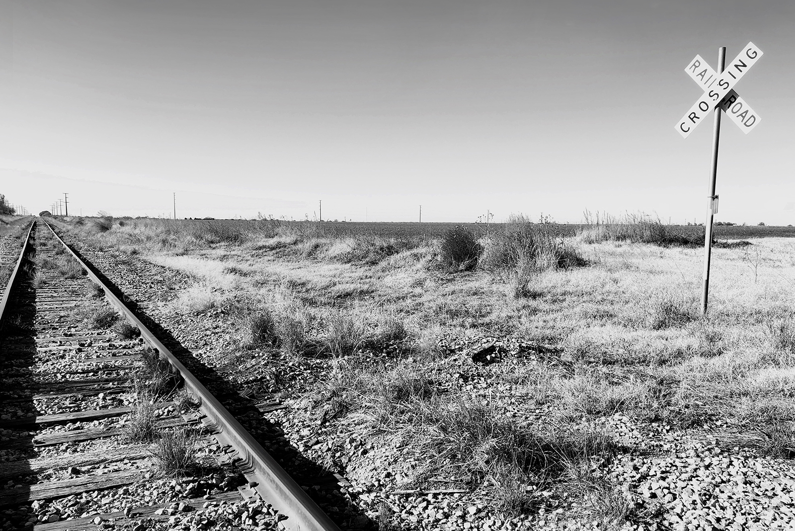 The Rise and Fall of the Texas Railroad