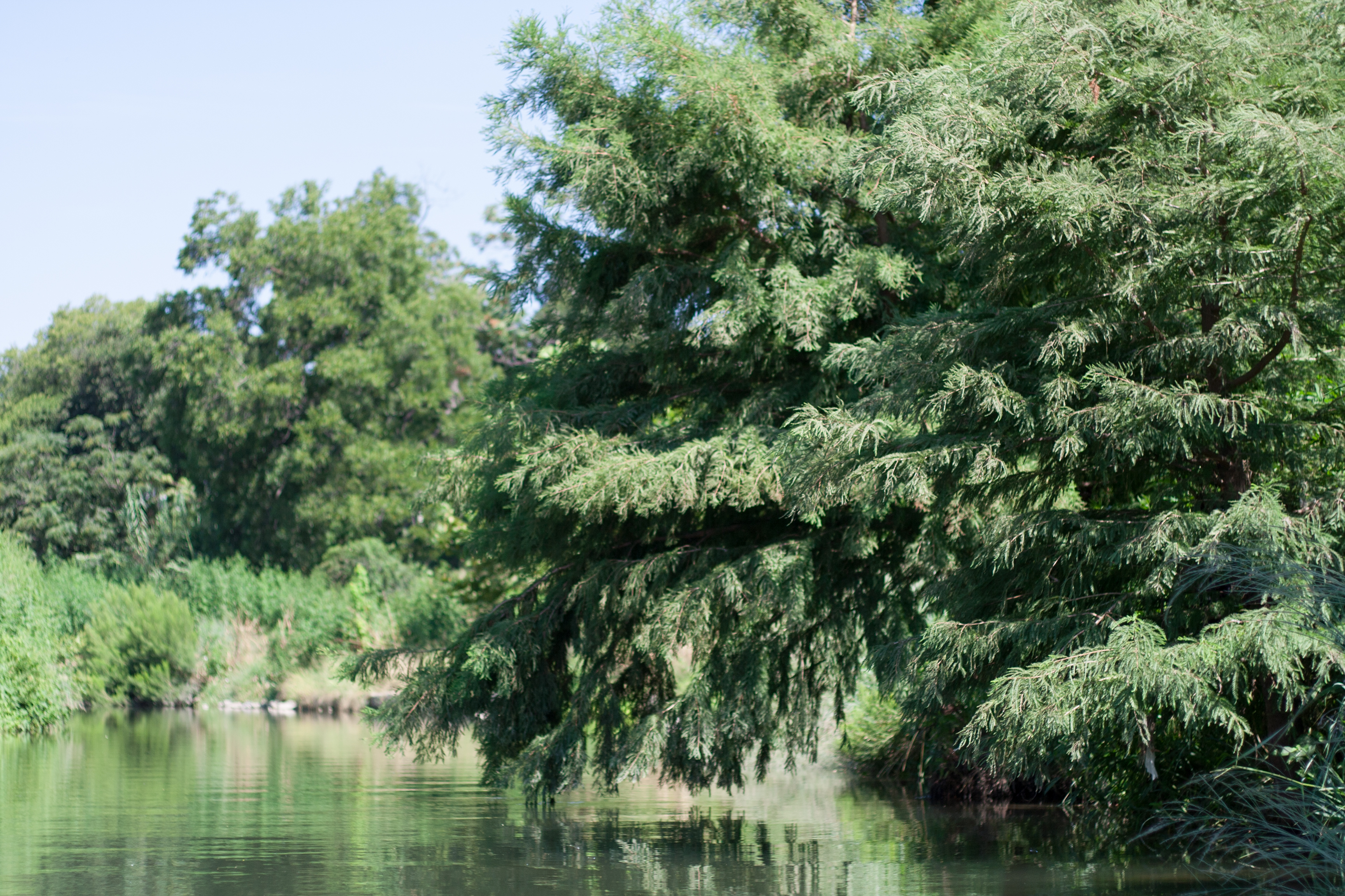 Texas kayak San Antonio