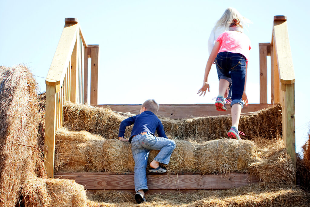 Experience the Magic of Small-Town Fall Rituals