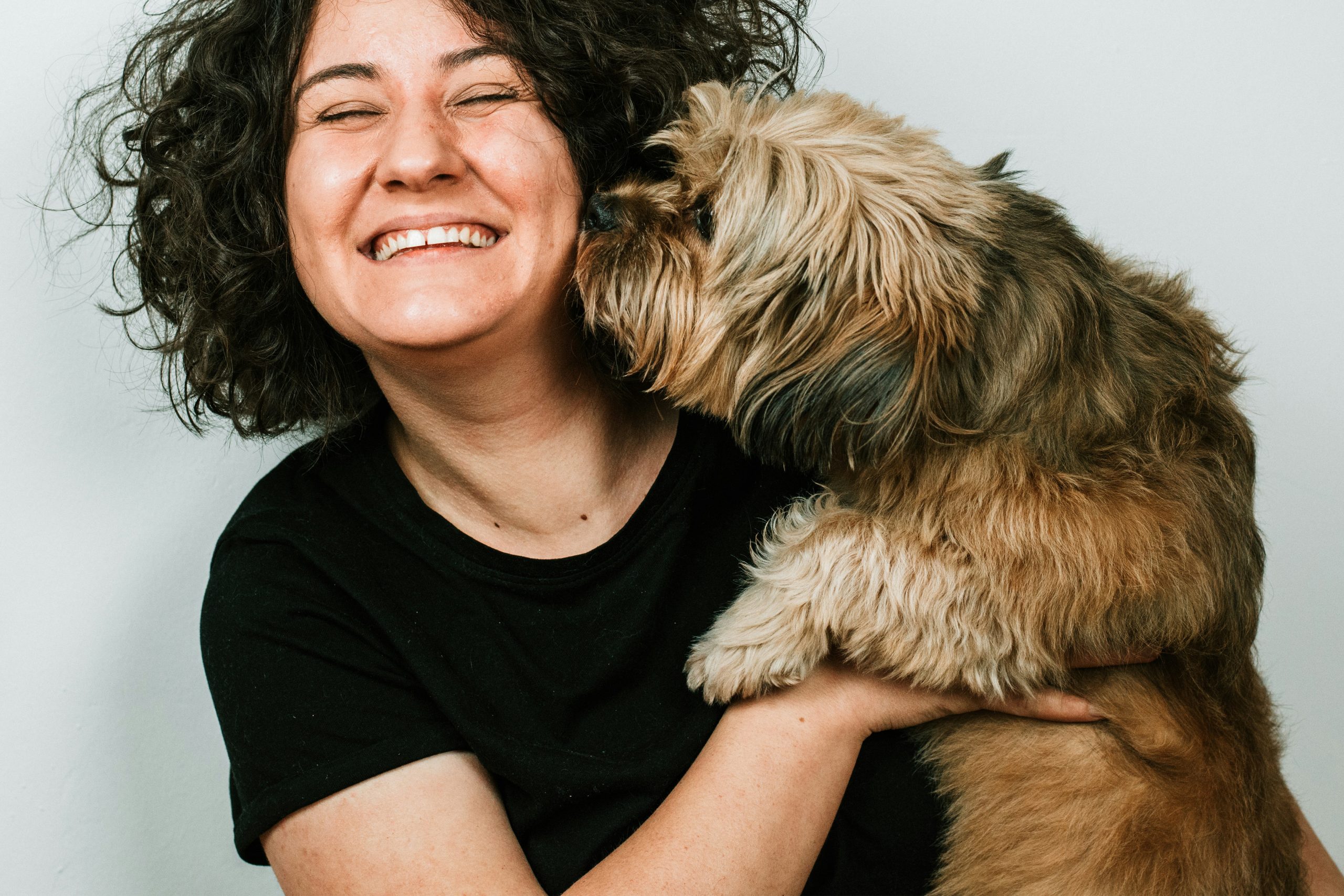 How to Be a Great Dog Owner