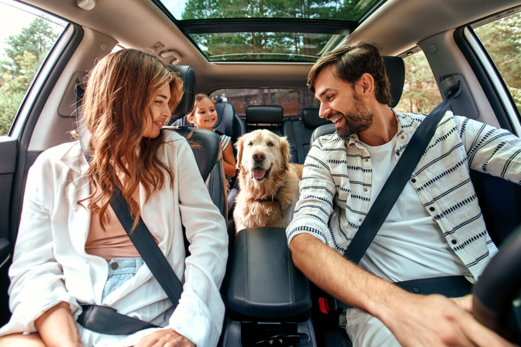 FAQs: Auto Insurance