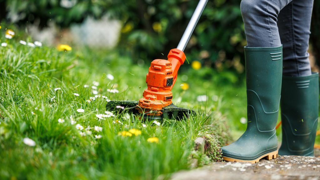Person trimming lawn.