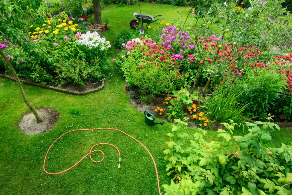 Roundup: Spring Gardening in Texas