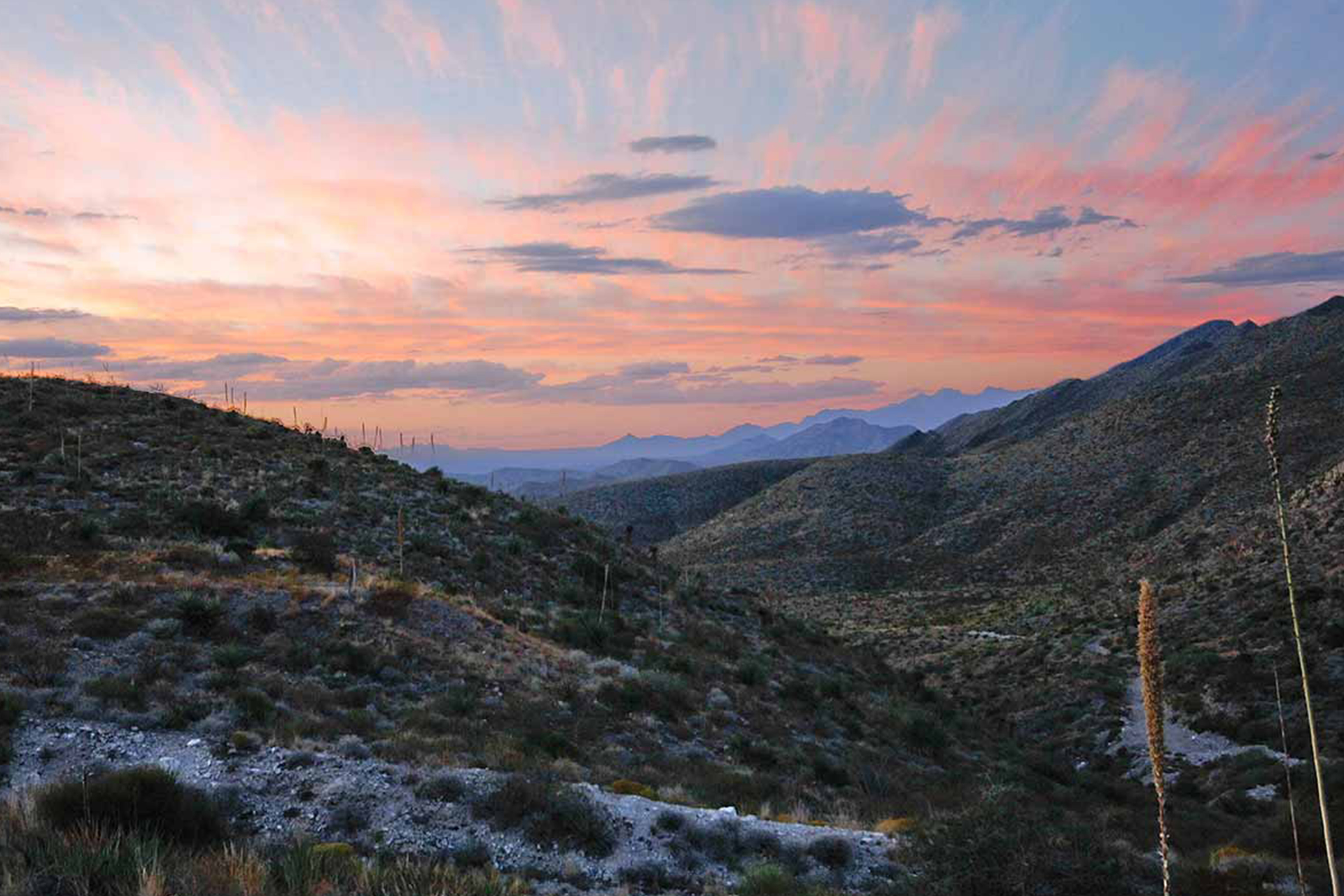 West Texas state parks Franklin Mountains