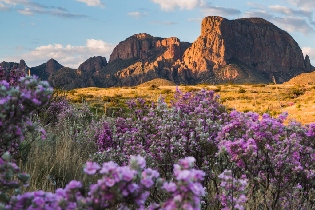 The Ultimate Texas State Park Guide: West Texas Edition