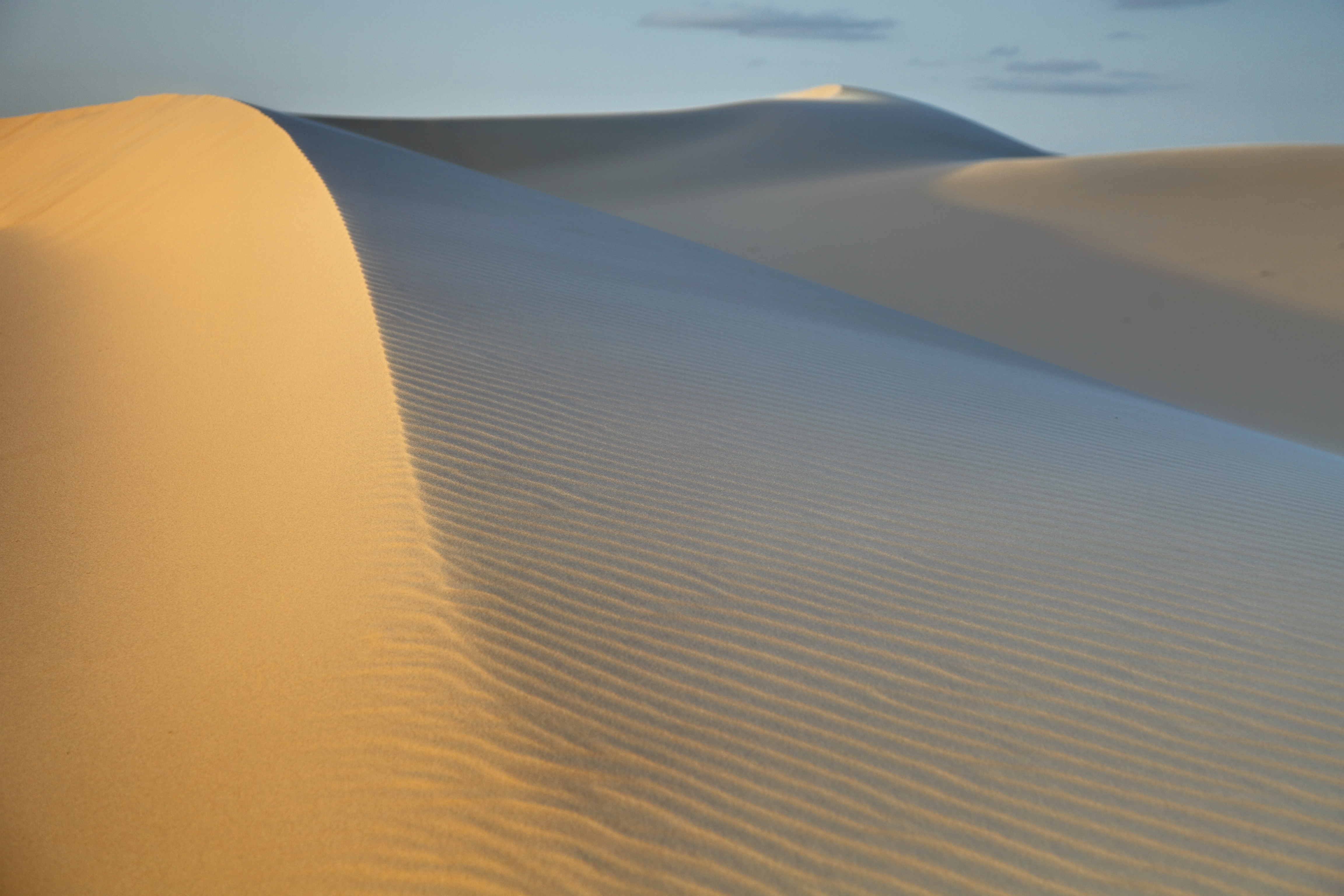 West Texas state parks Monahans Sandhills