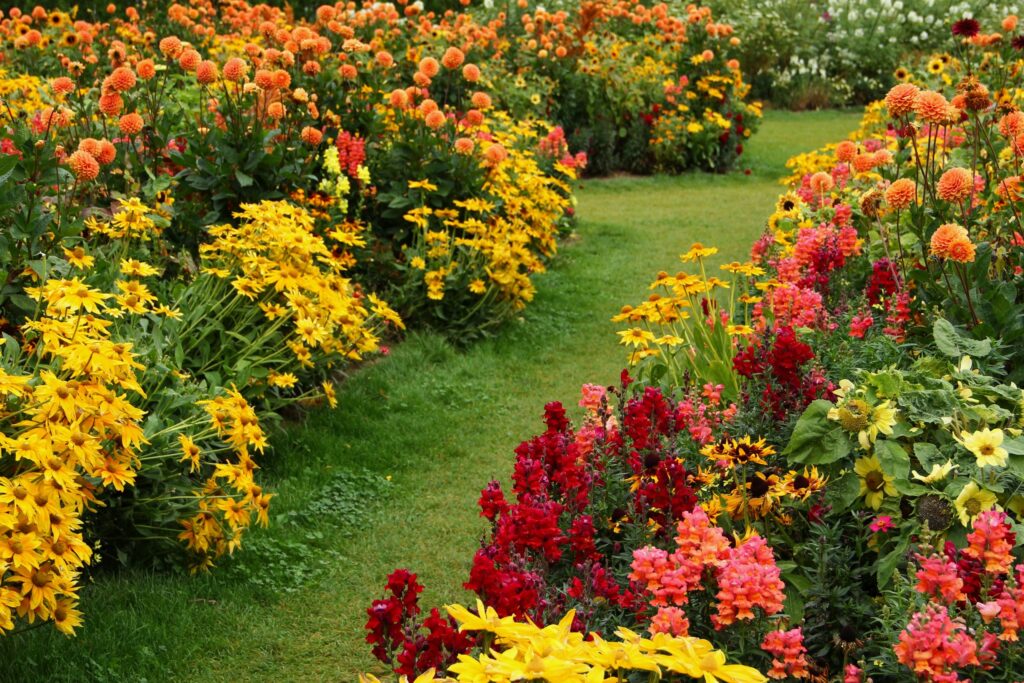 Perennial Plants: A Complete Guide