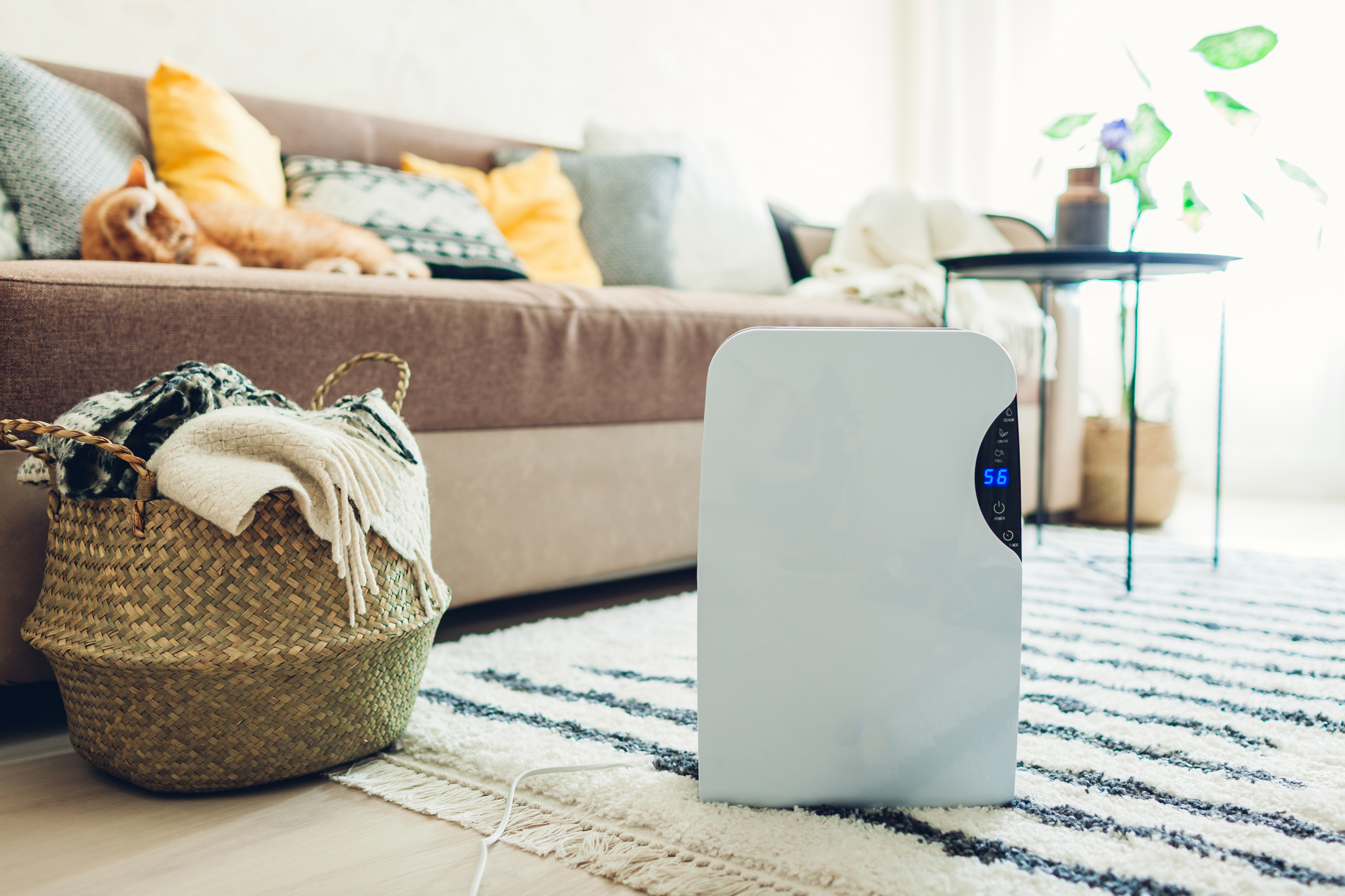 home remedies for allergies