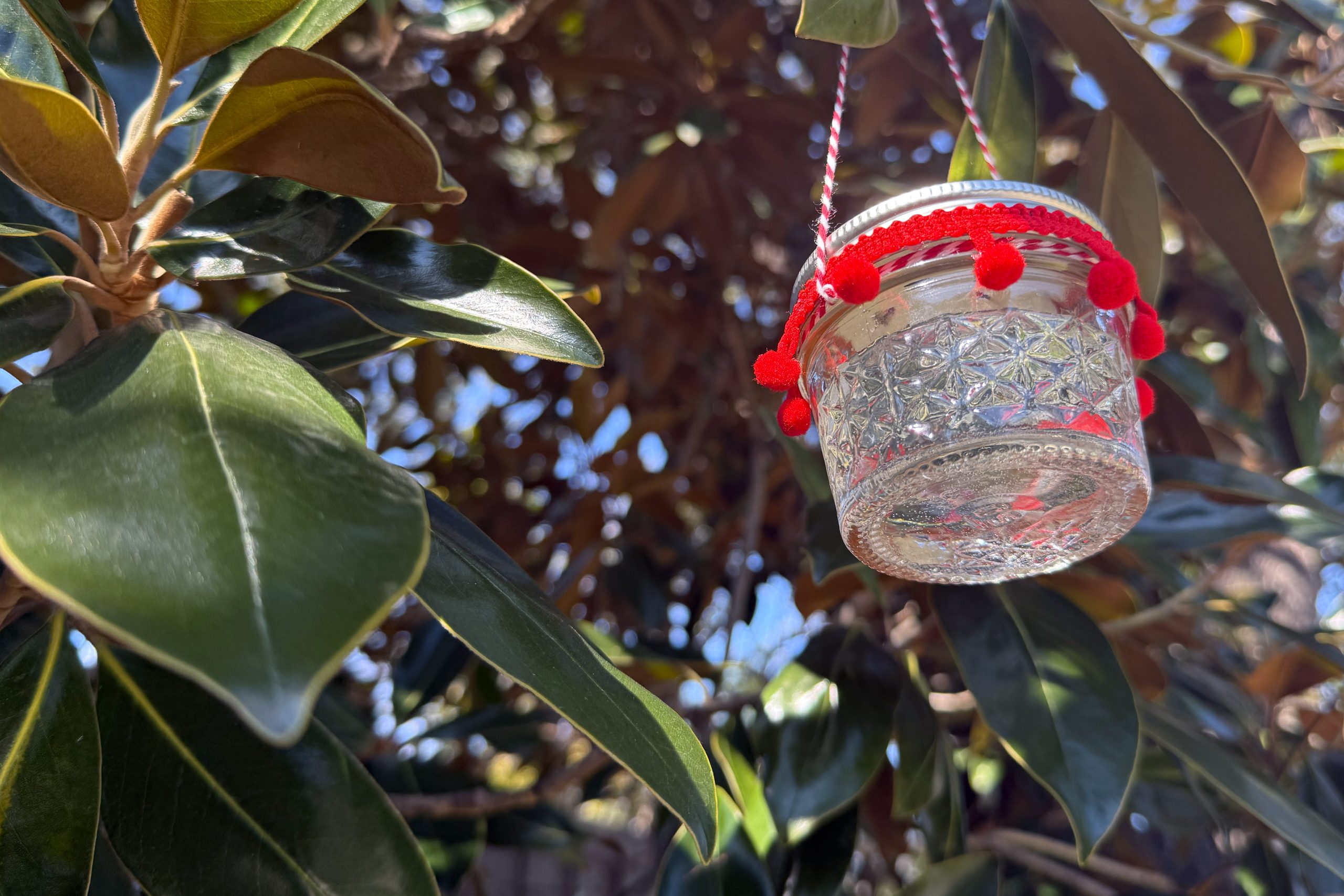 DIY Hummingbird Feeder