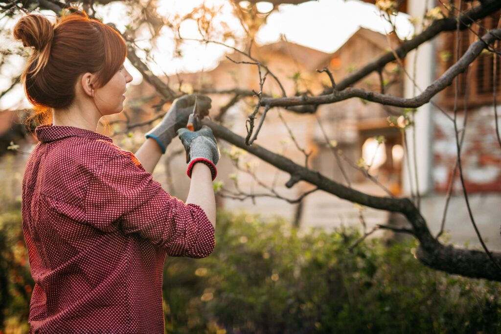 Outdoor Spring-Cleaning Checklist