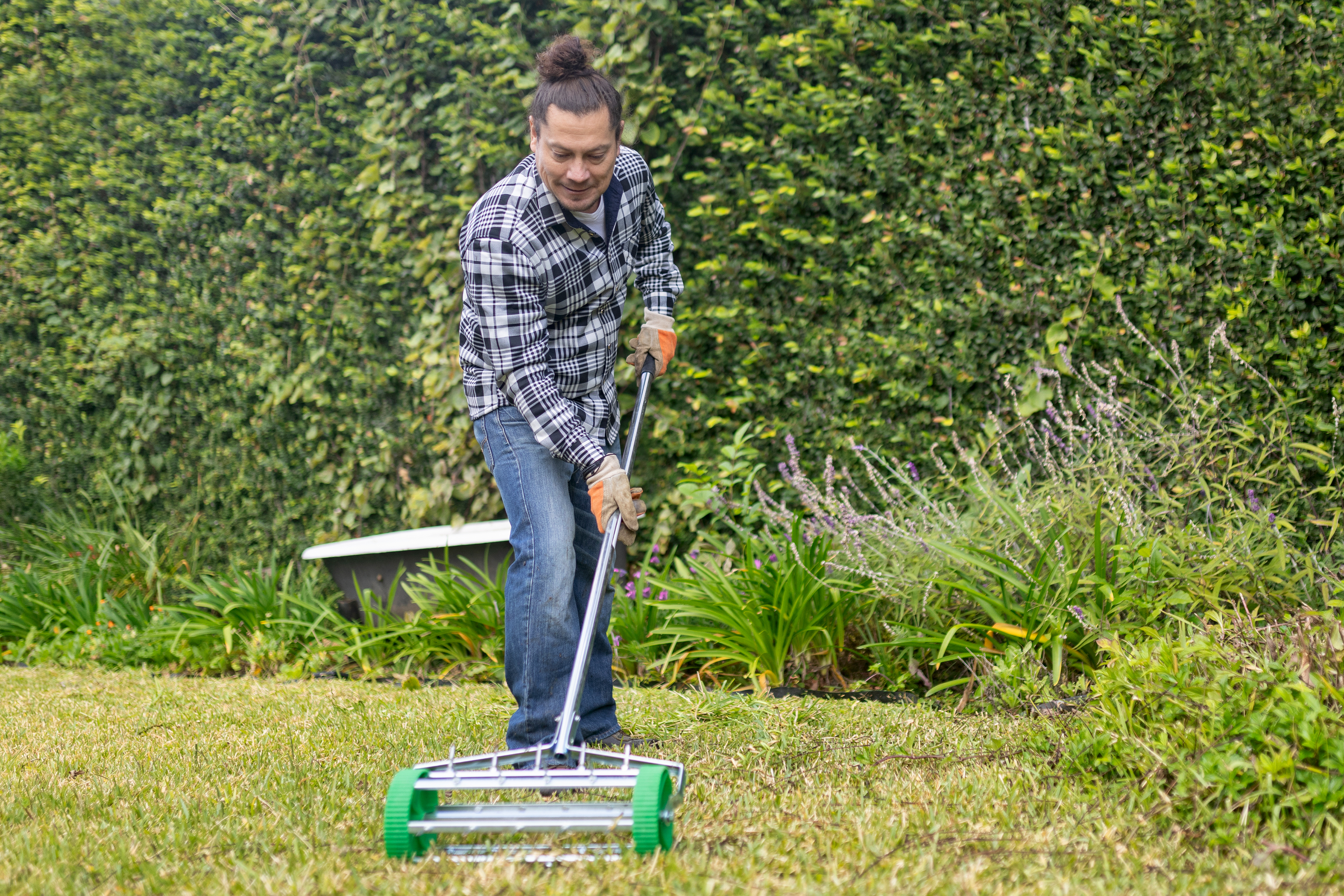 prepare lawn for spring
