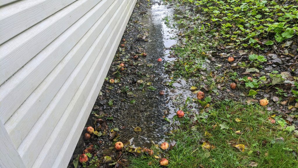 Soil near house that is graded so rain water moves away.
