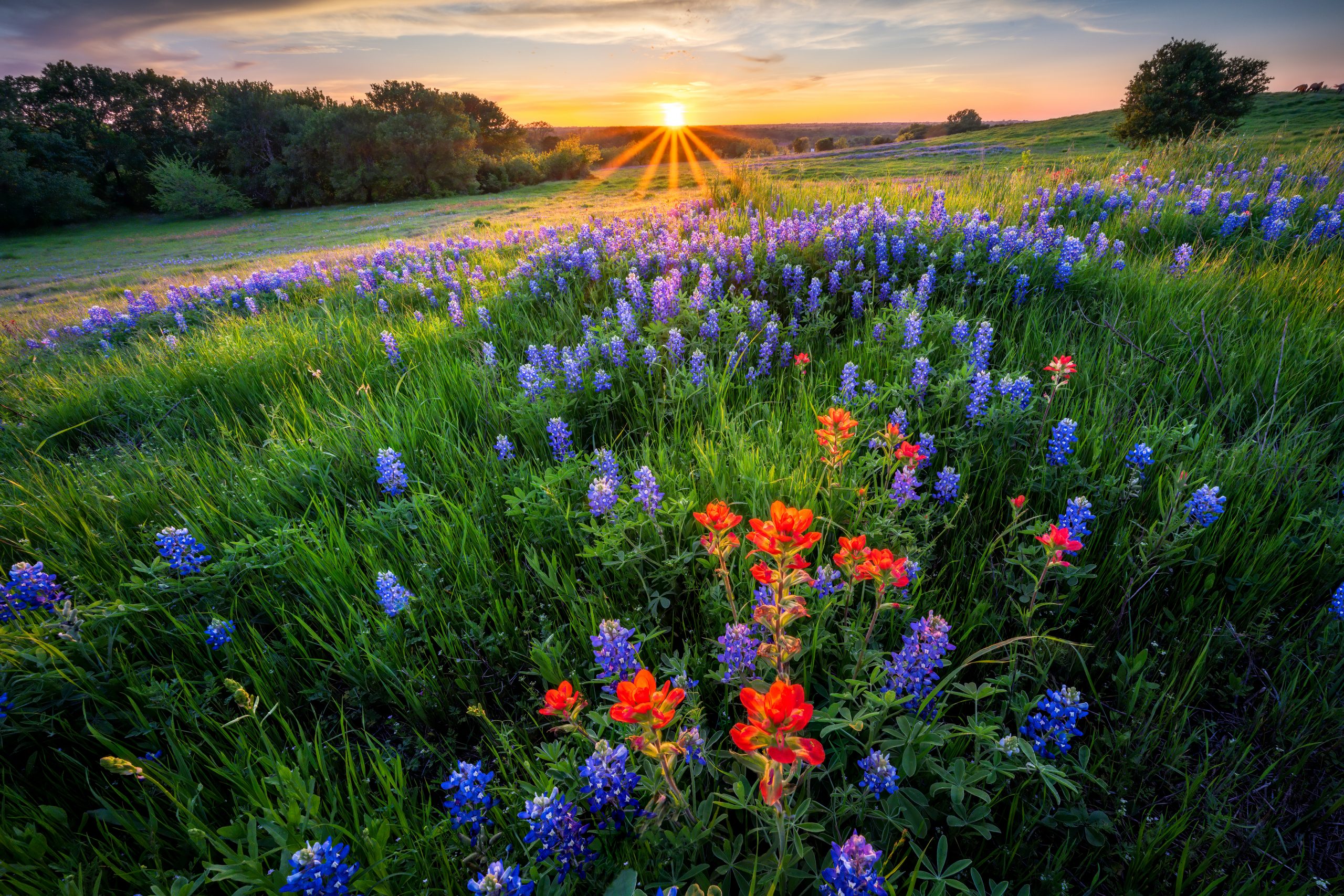 What Is the Spring Equinox? And How to Celebrate