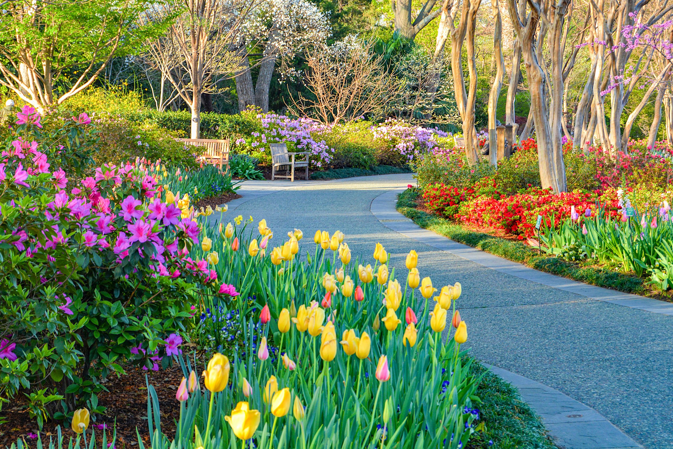 10 Must-See Texas Botanical Gardens