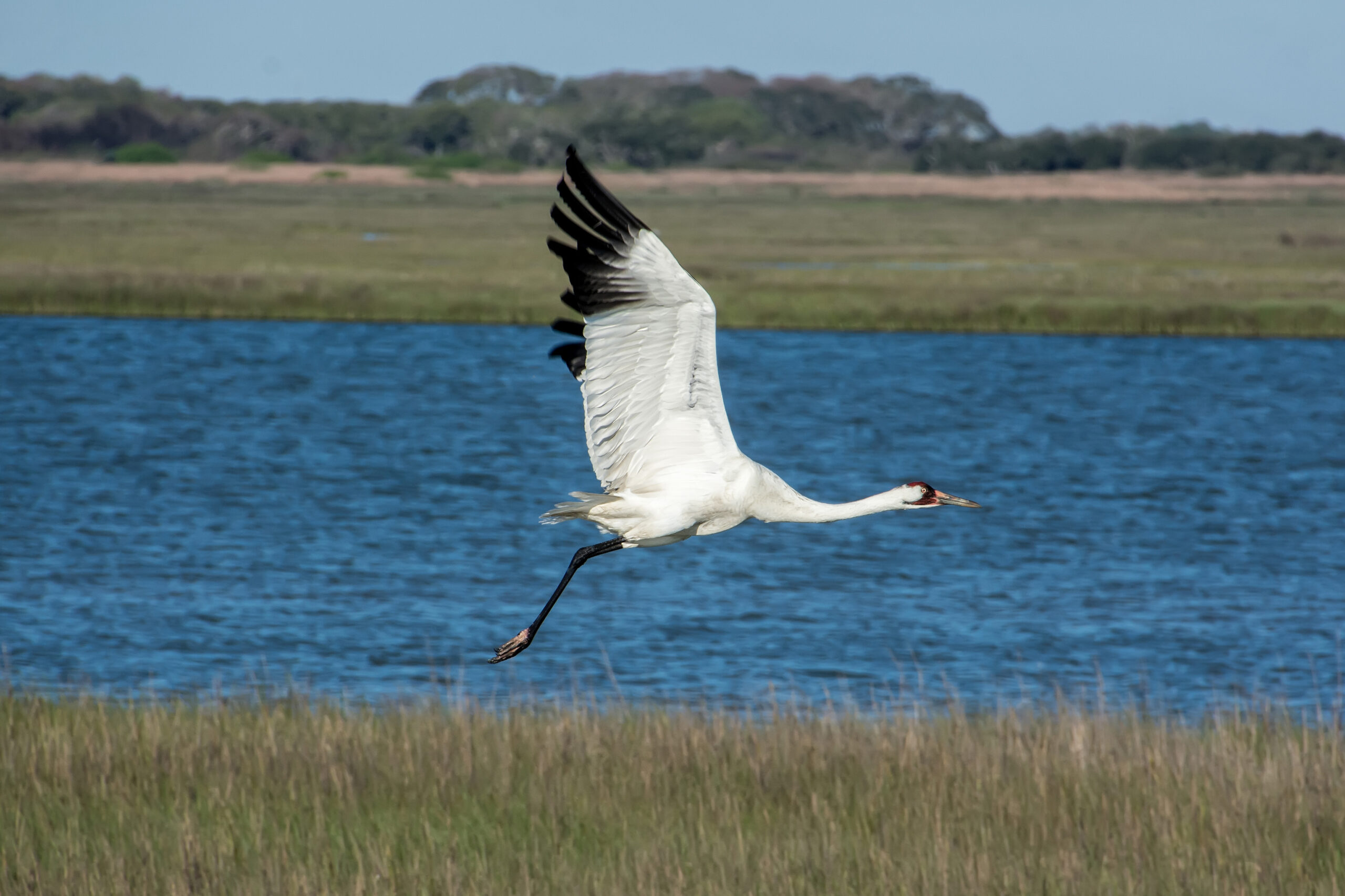 sailing Texas Gulf Coast
