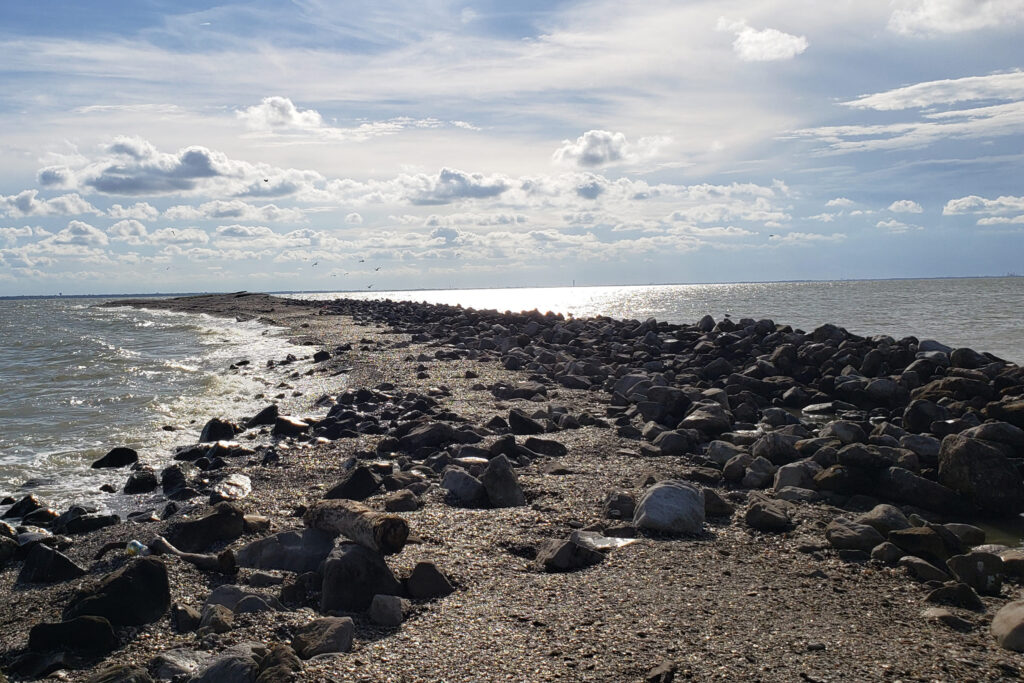 Top 5 Destinations for Sailing the Texas Gulf Coast