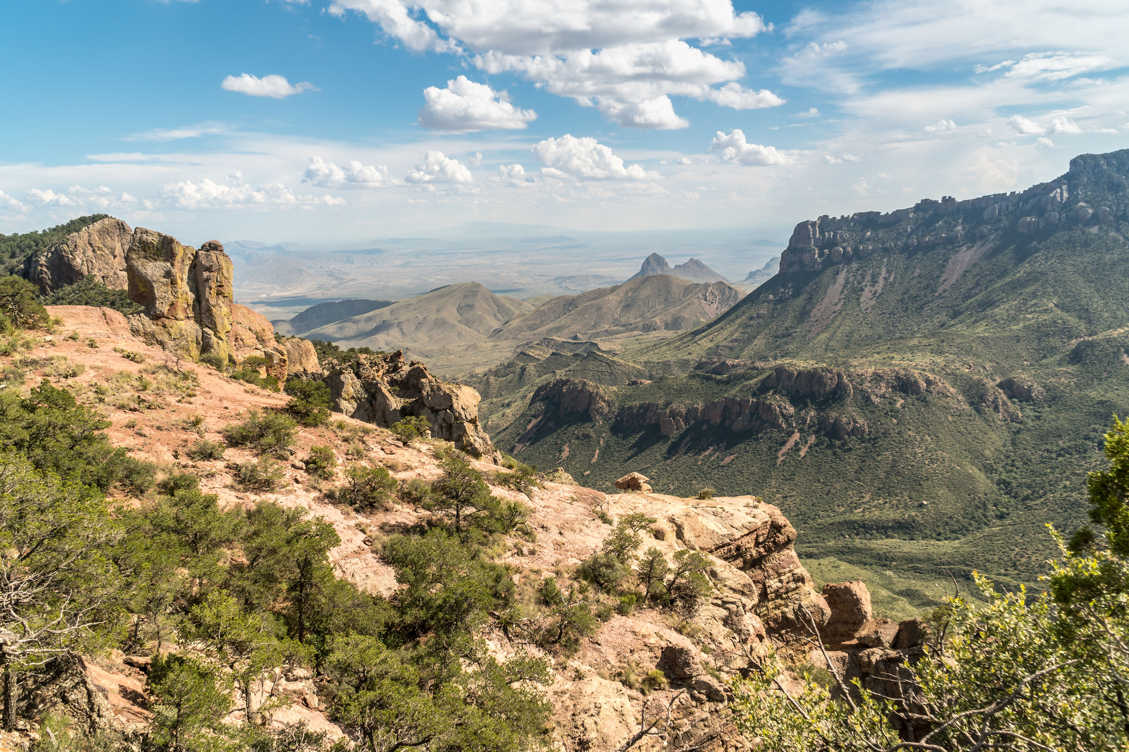 Silent Spring Revolution