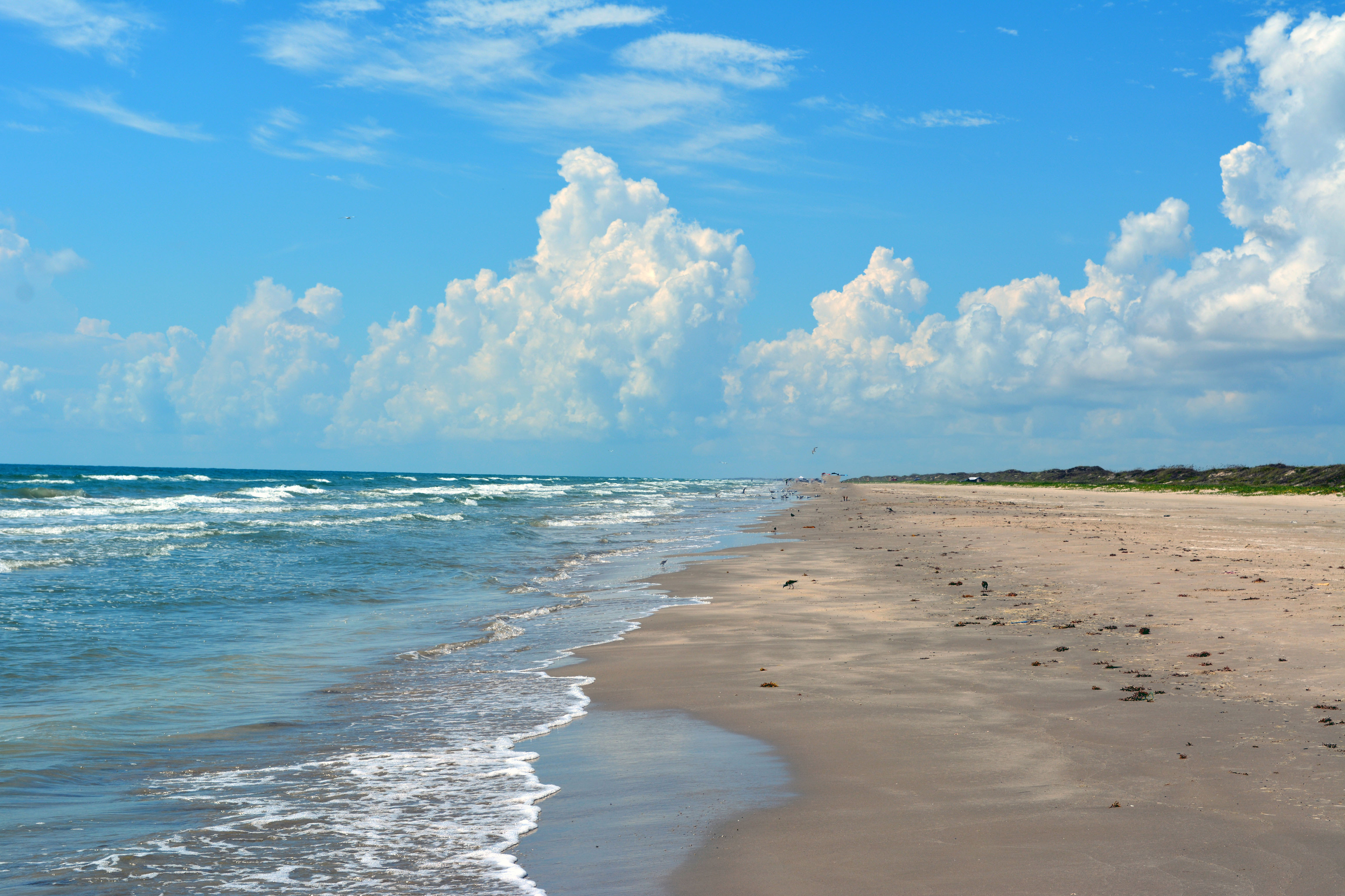 Silent Spring Revolution