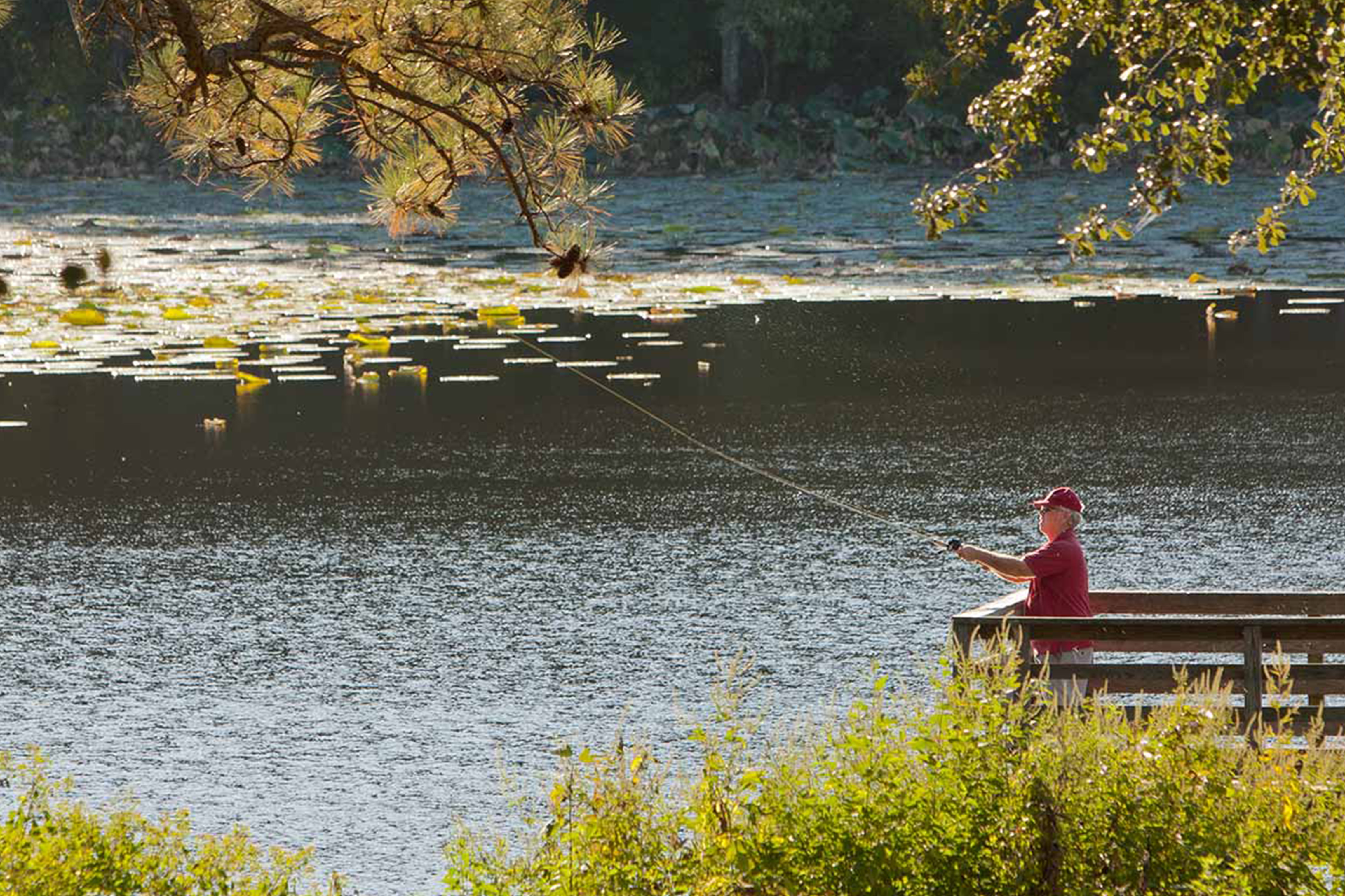 East Texas state parks