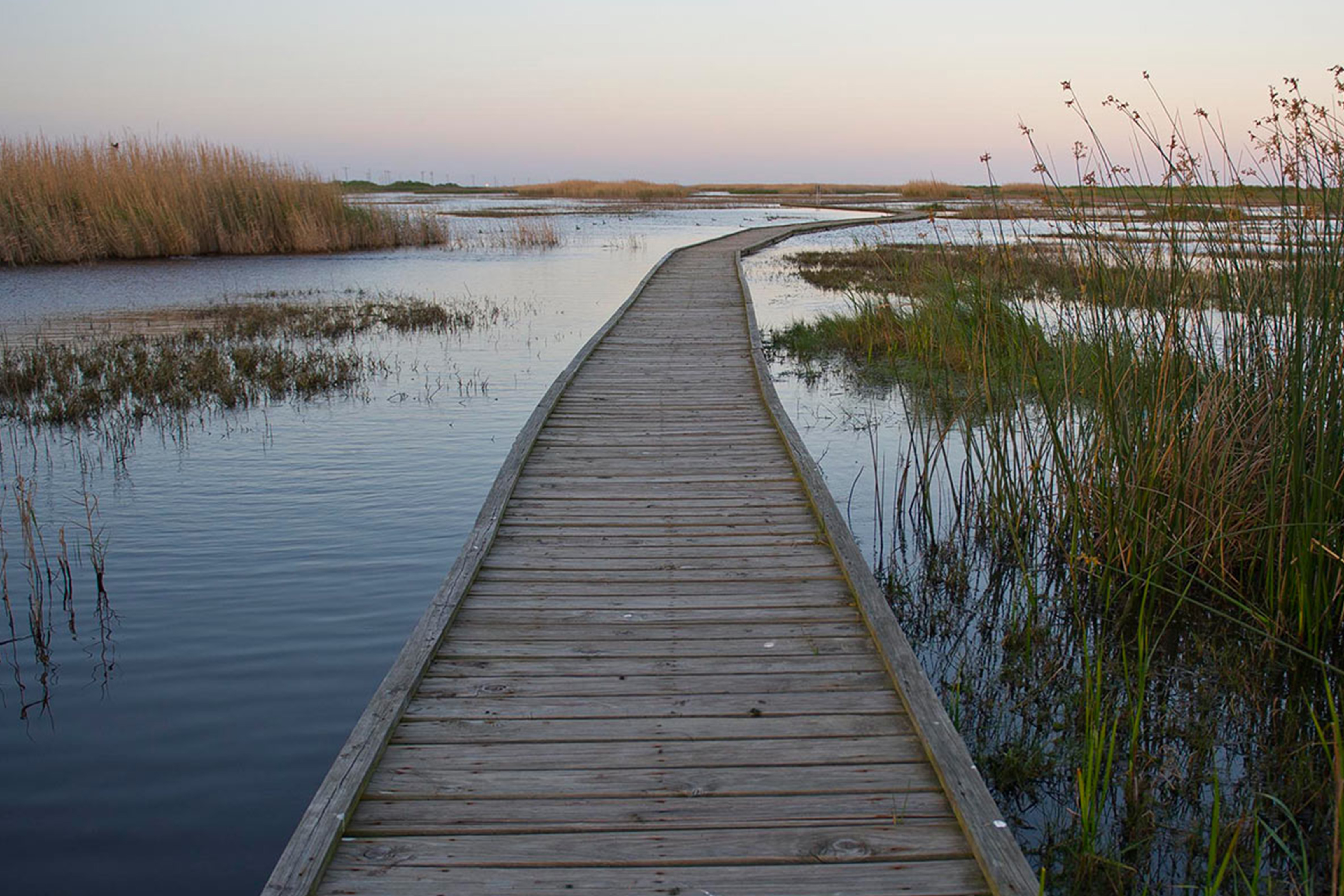 East Texas state parks