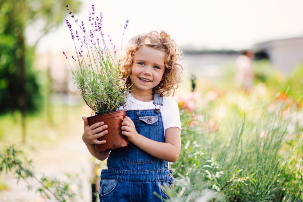 Natural Mosquito Repellents