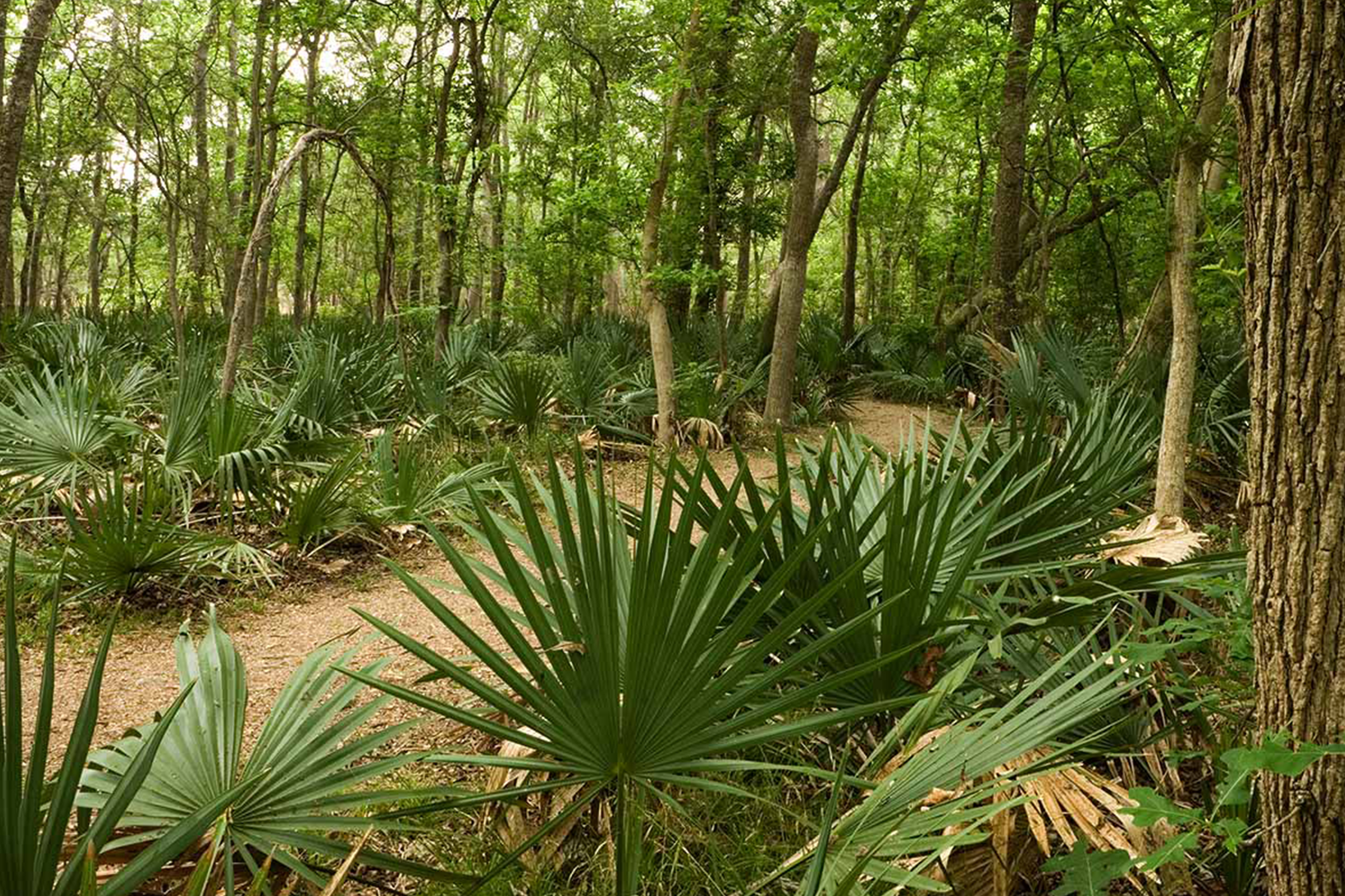 Central Texas state parks