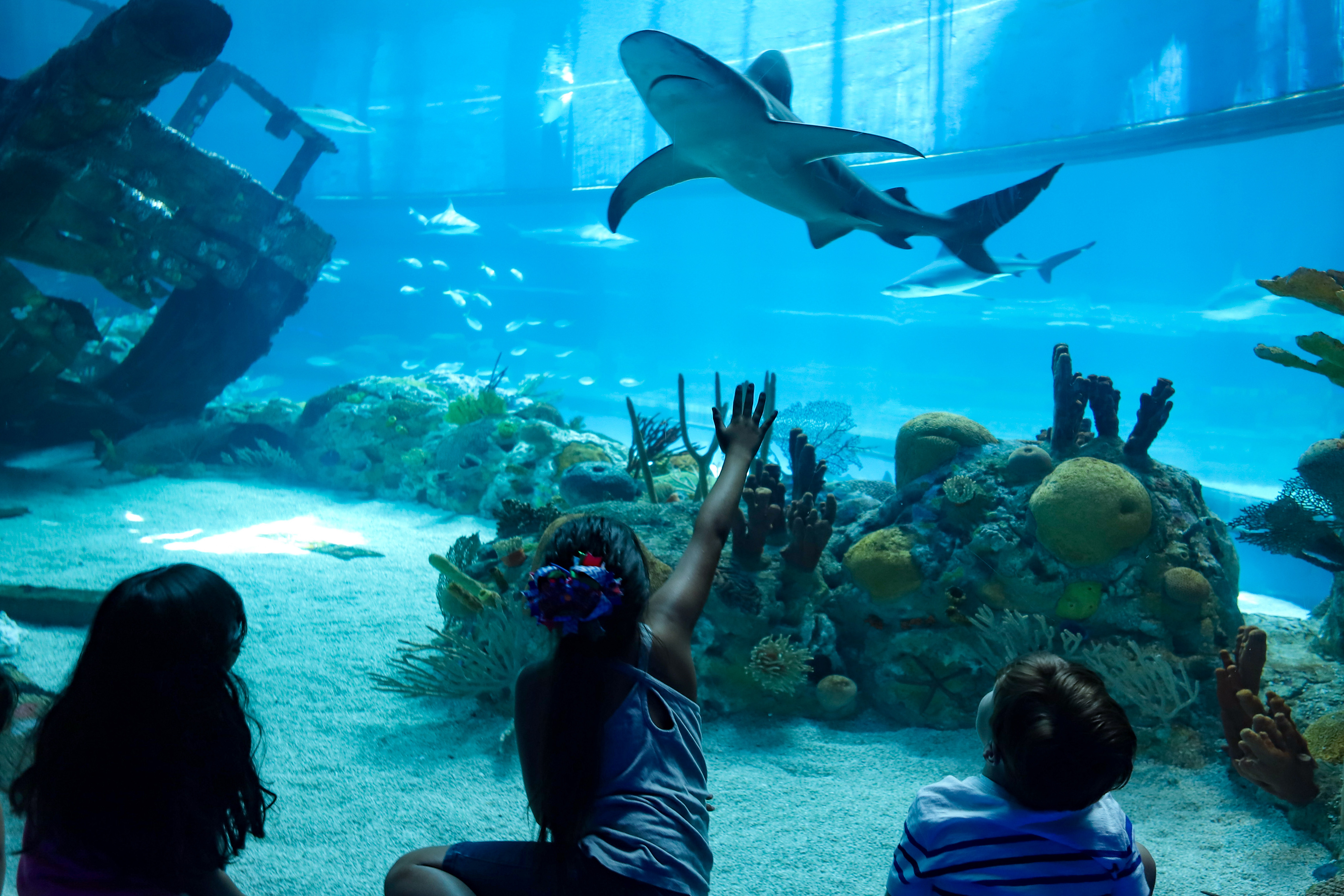 best beaches in Texas