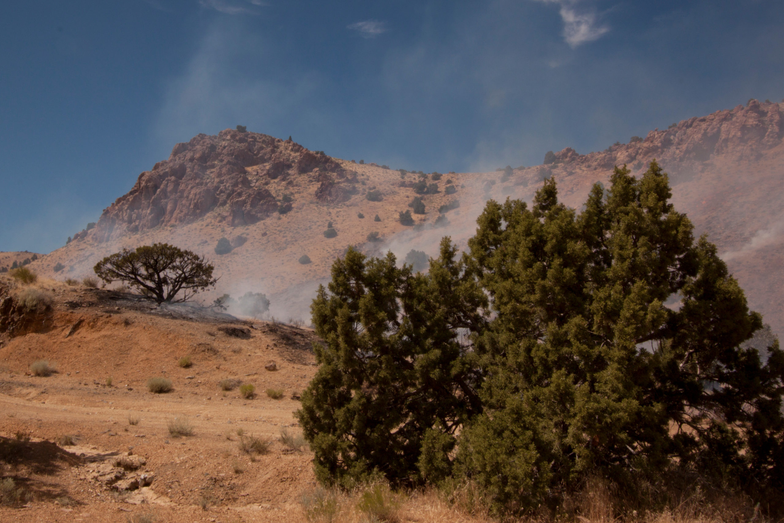 Your Guide to Texas Wildfires