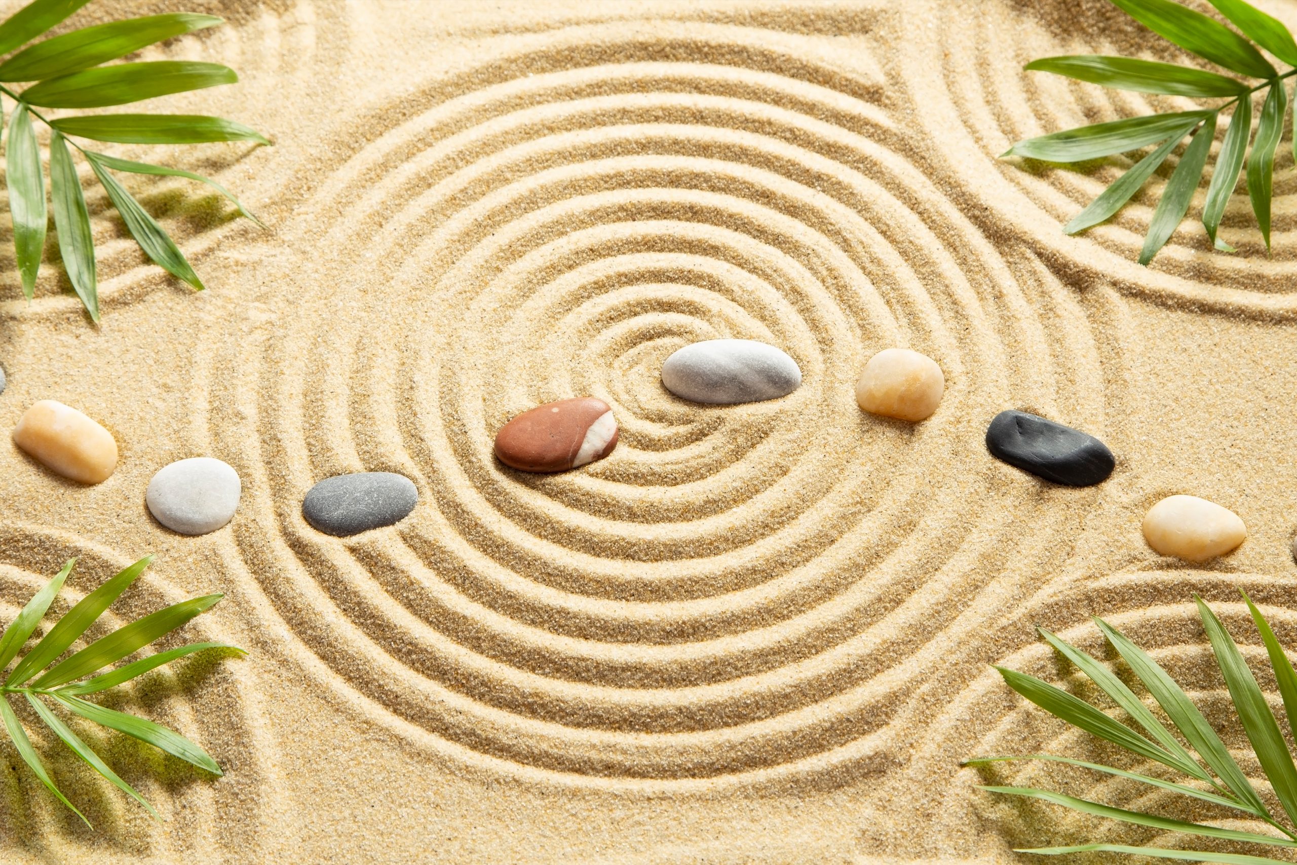 How to Create an Indoor Zen Garden