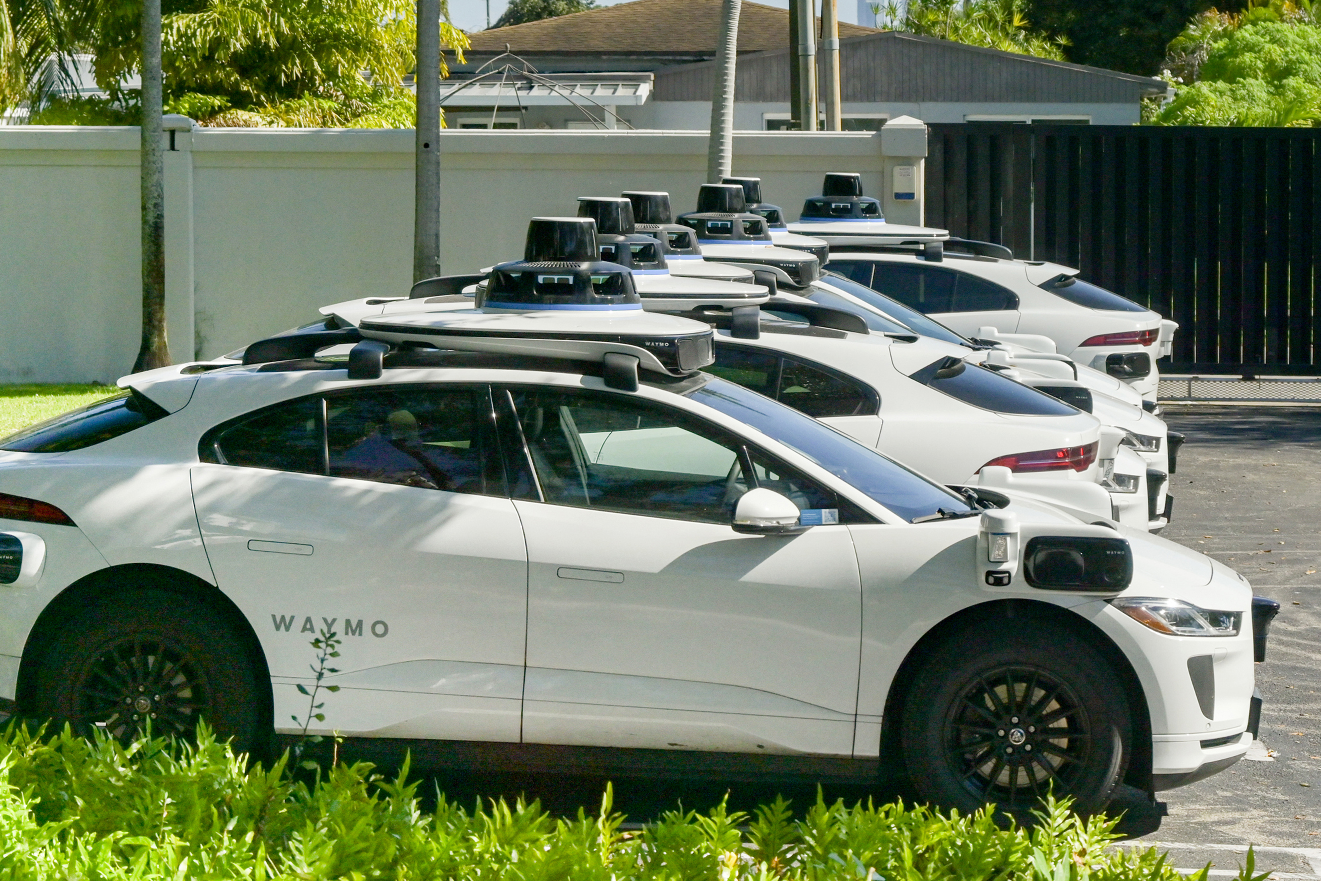 Row of parked Waymo cars.