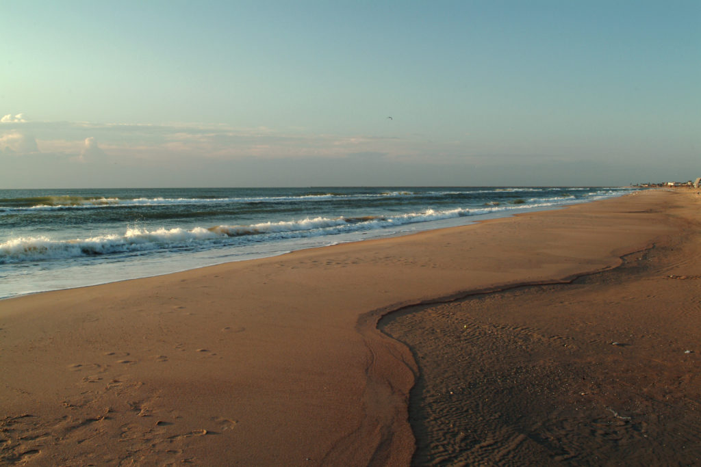 The Definitive Guide to Texas Beaches