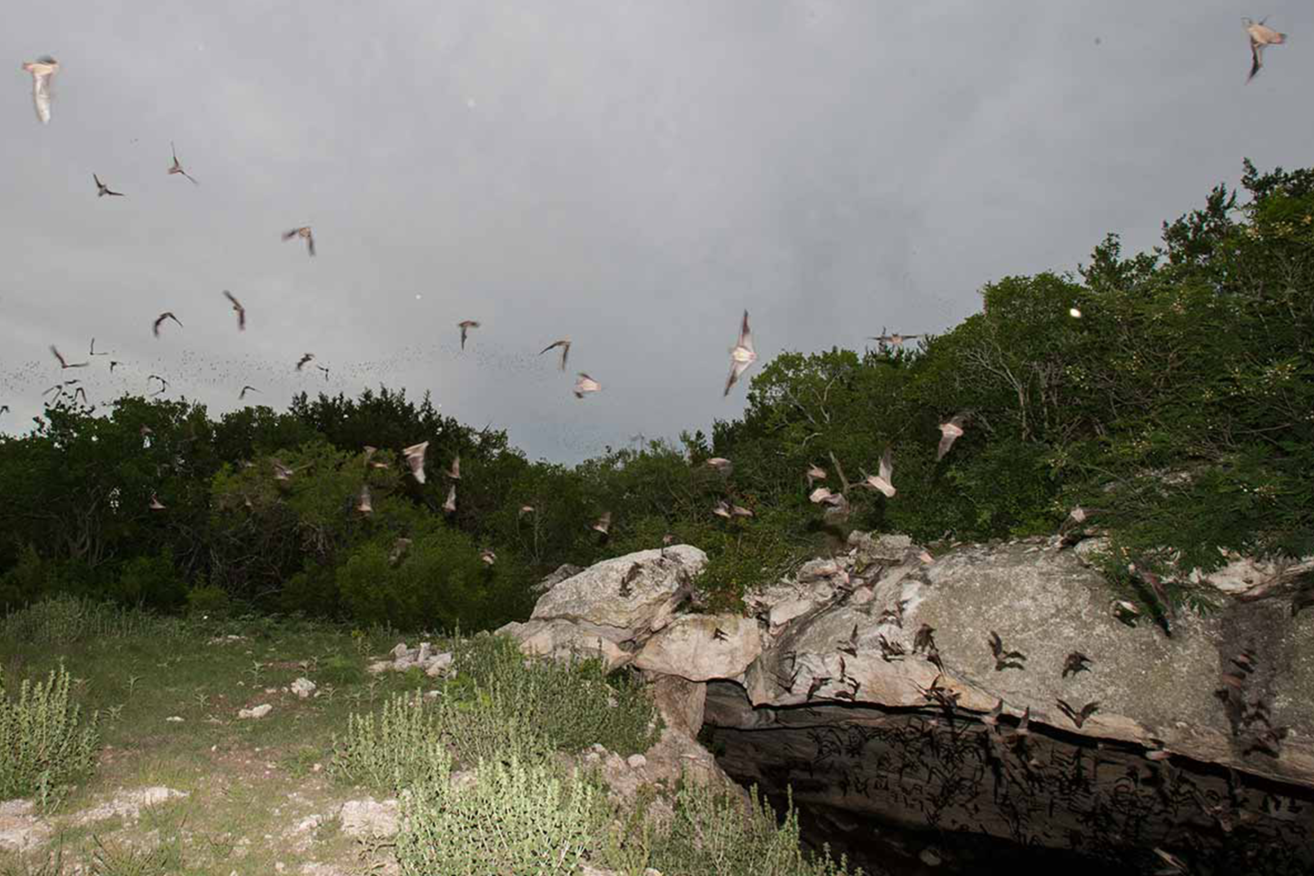 South Texas state parks
