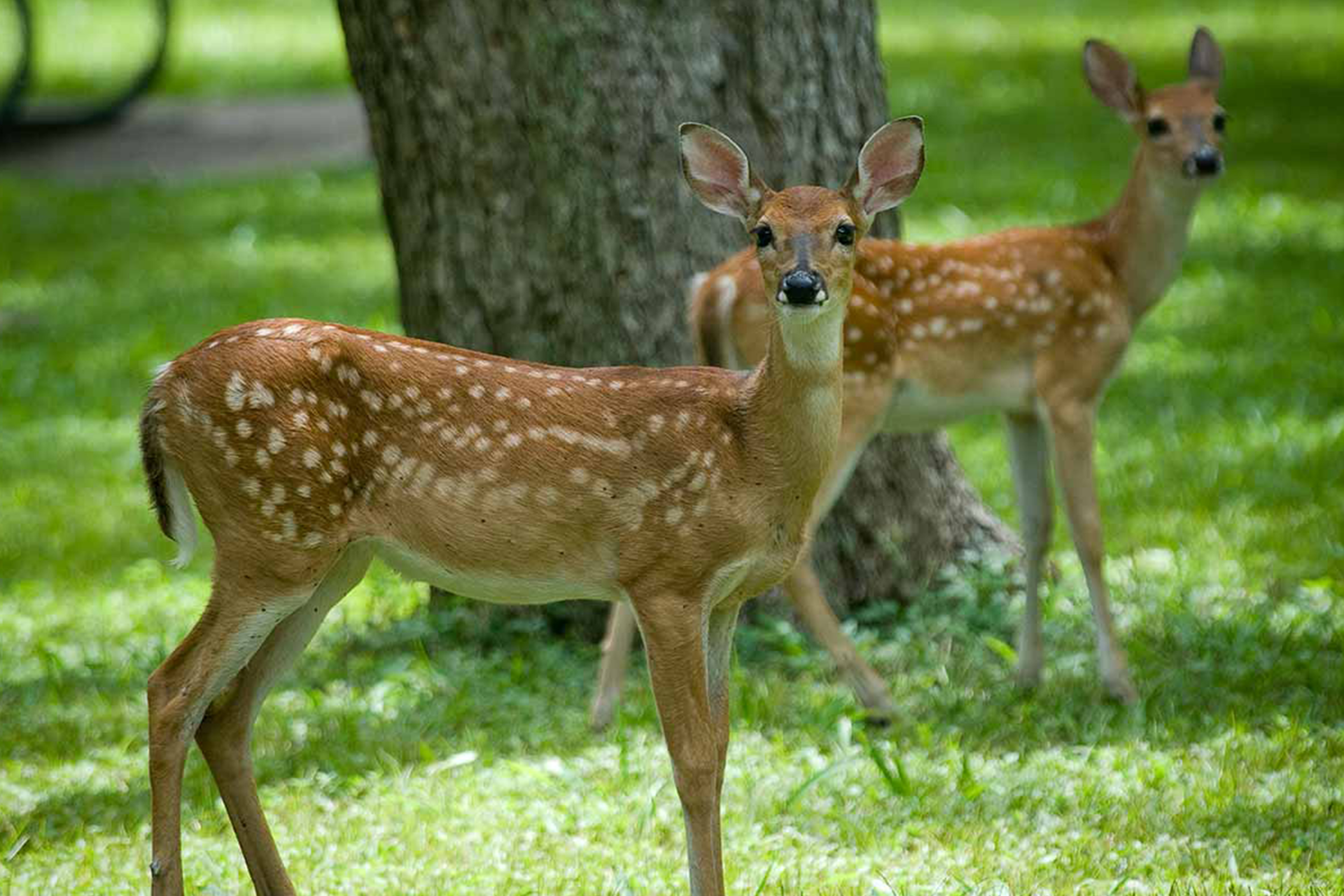 South Texas state parks