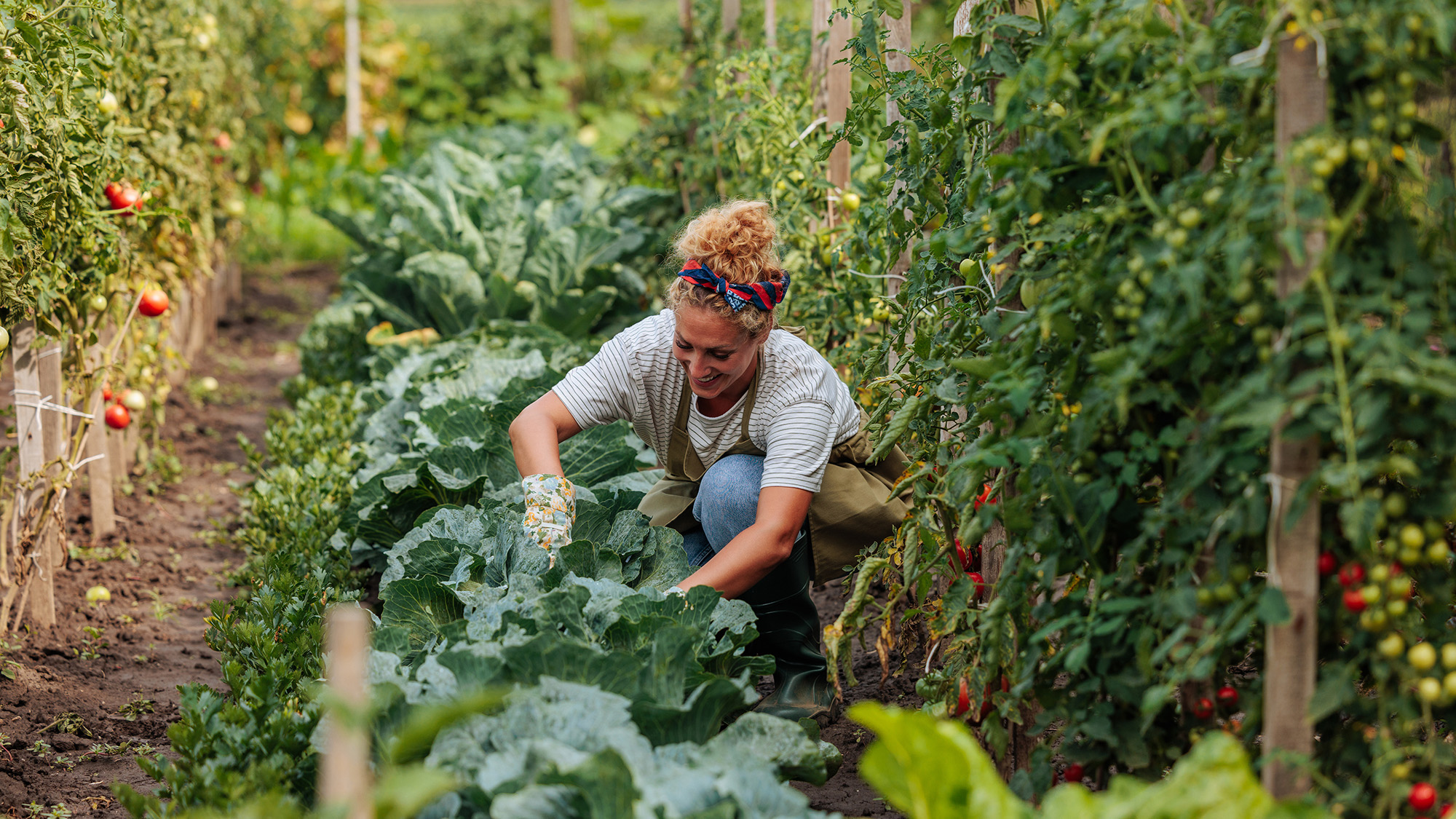 Woman gardening vegetables.