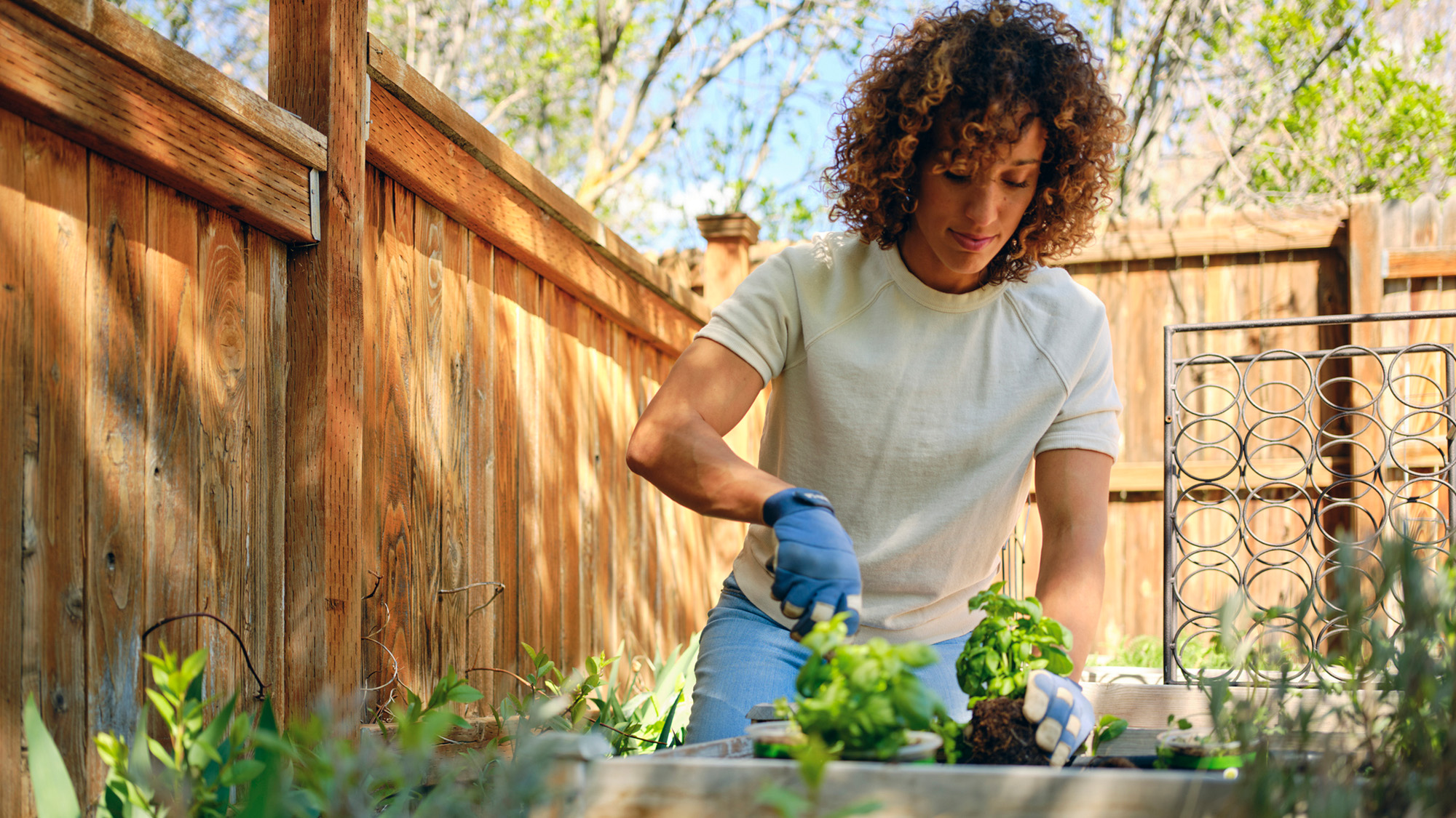 Woman planting in a garden.