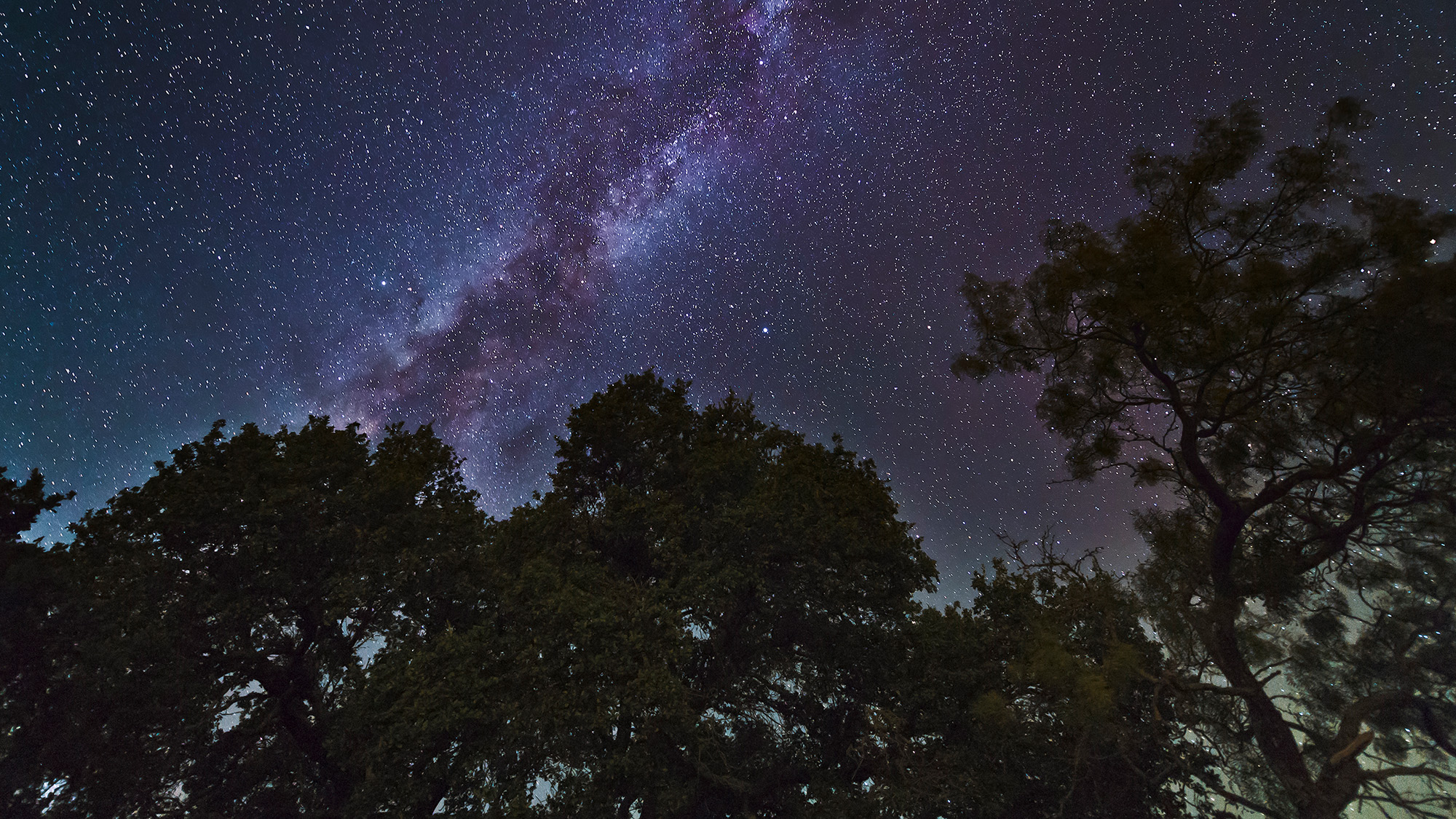 Explore Texas After Dark