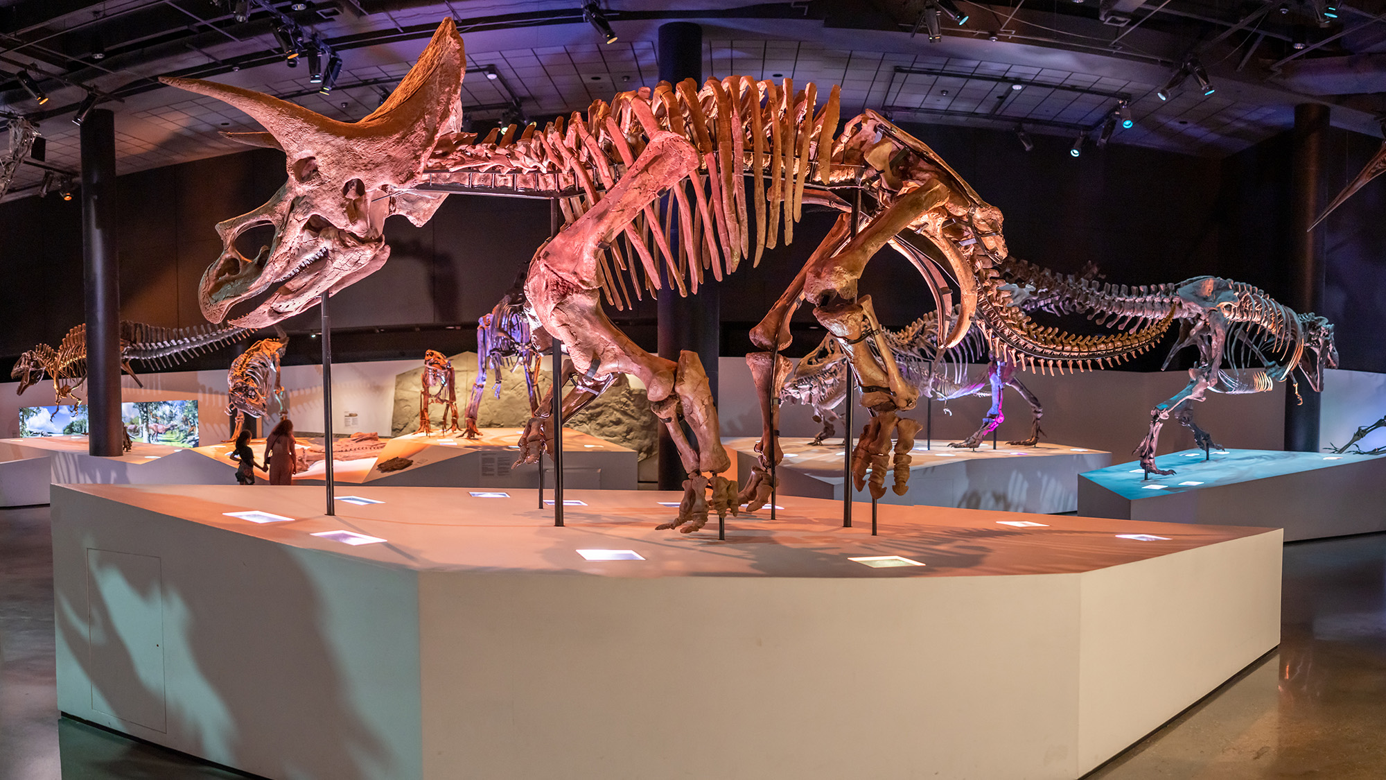 Where to Walk With the Dinosaurs