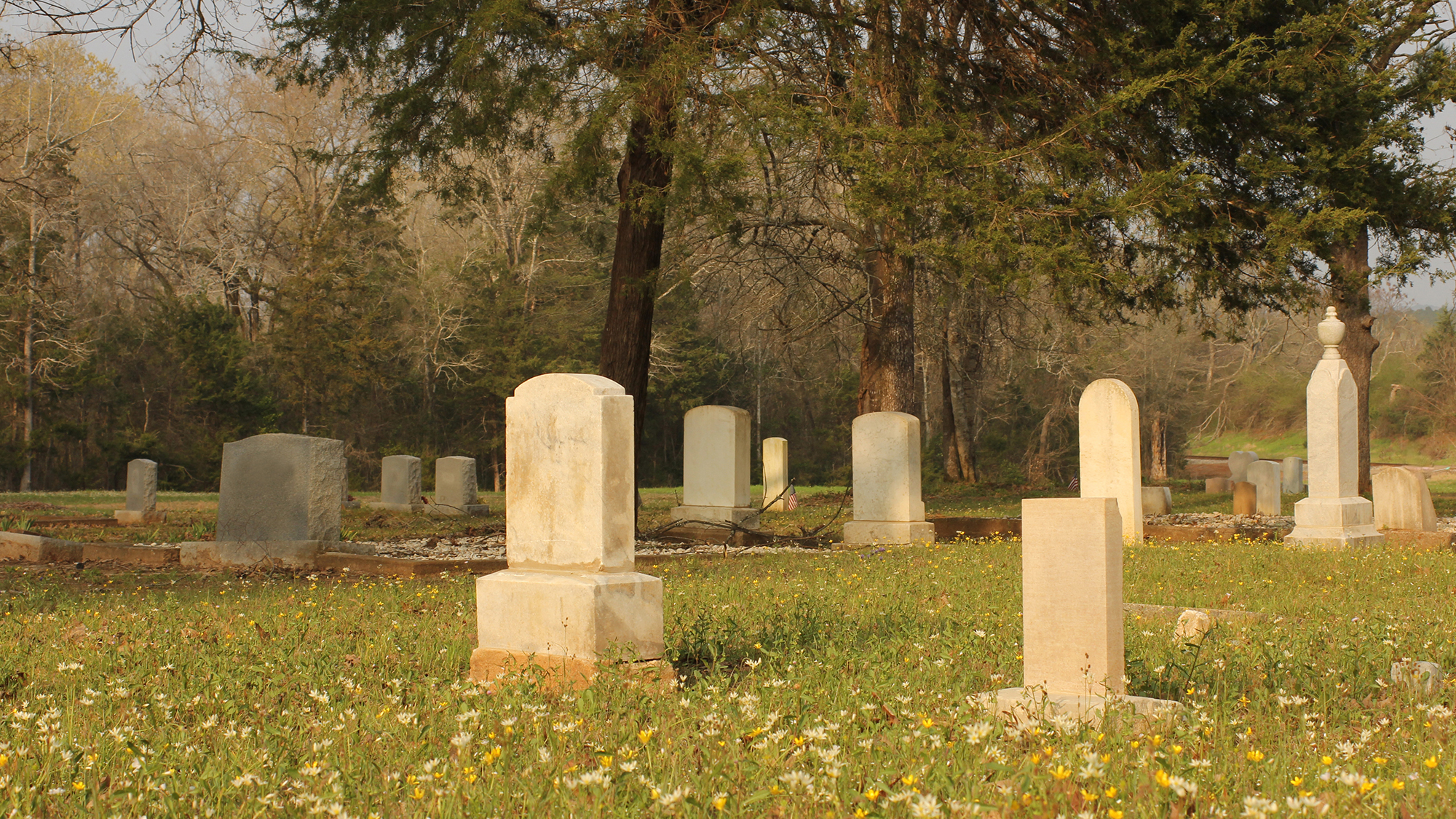 Graveyard with headstones.