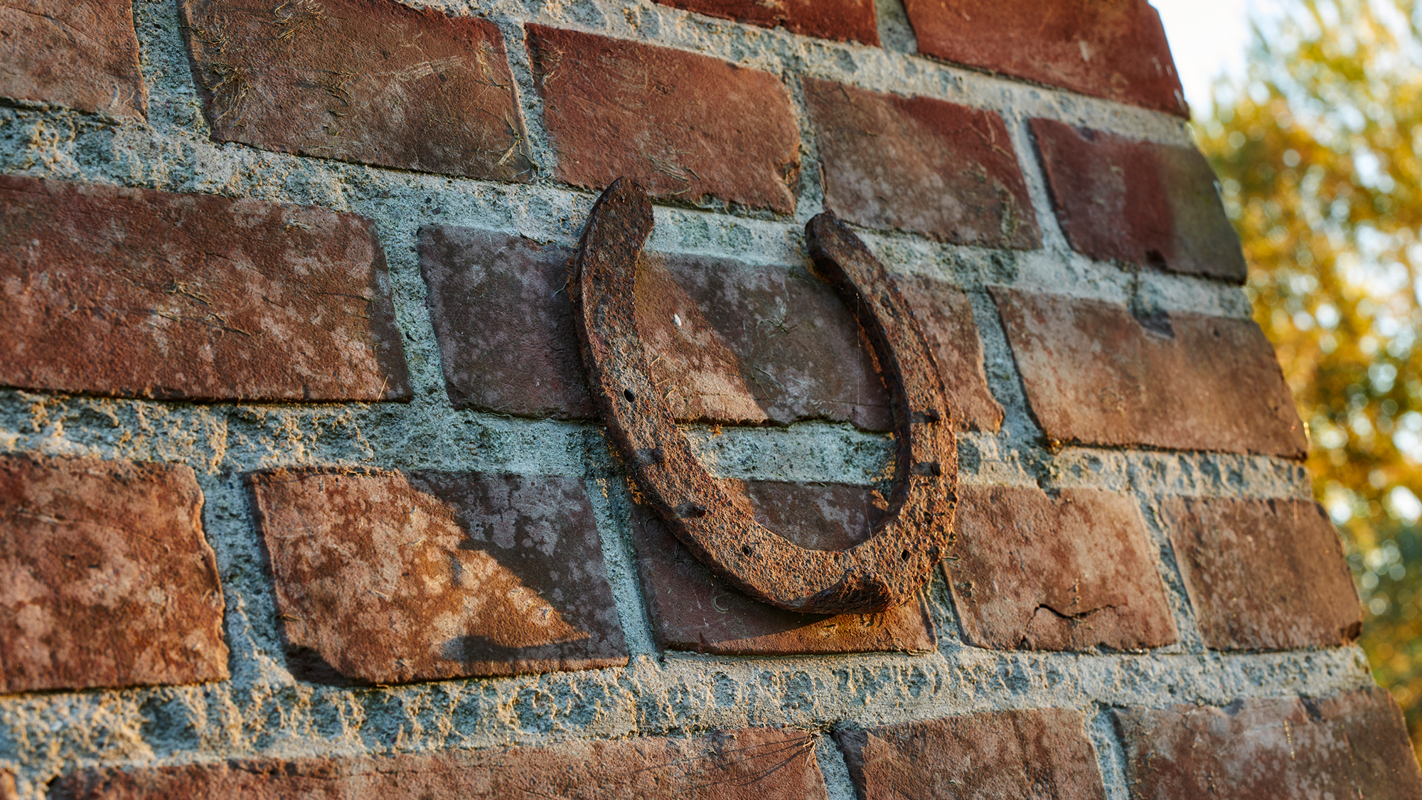 Horseshoe attached to a brick wall.