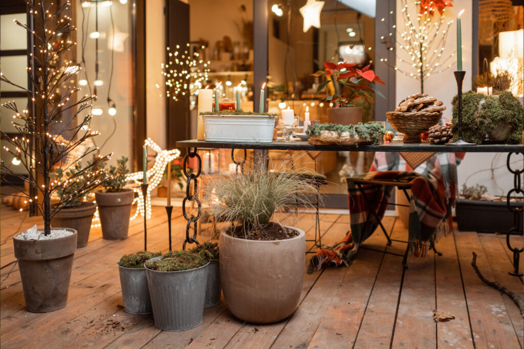 Make Your Holiday Garden Merry and Bright
