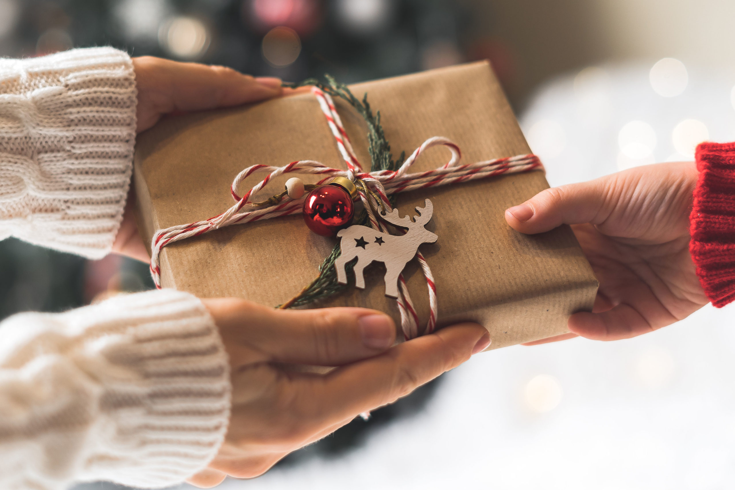 The Ultimate Holiday Gift Insurance Wish List