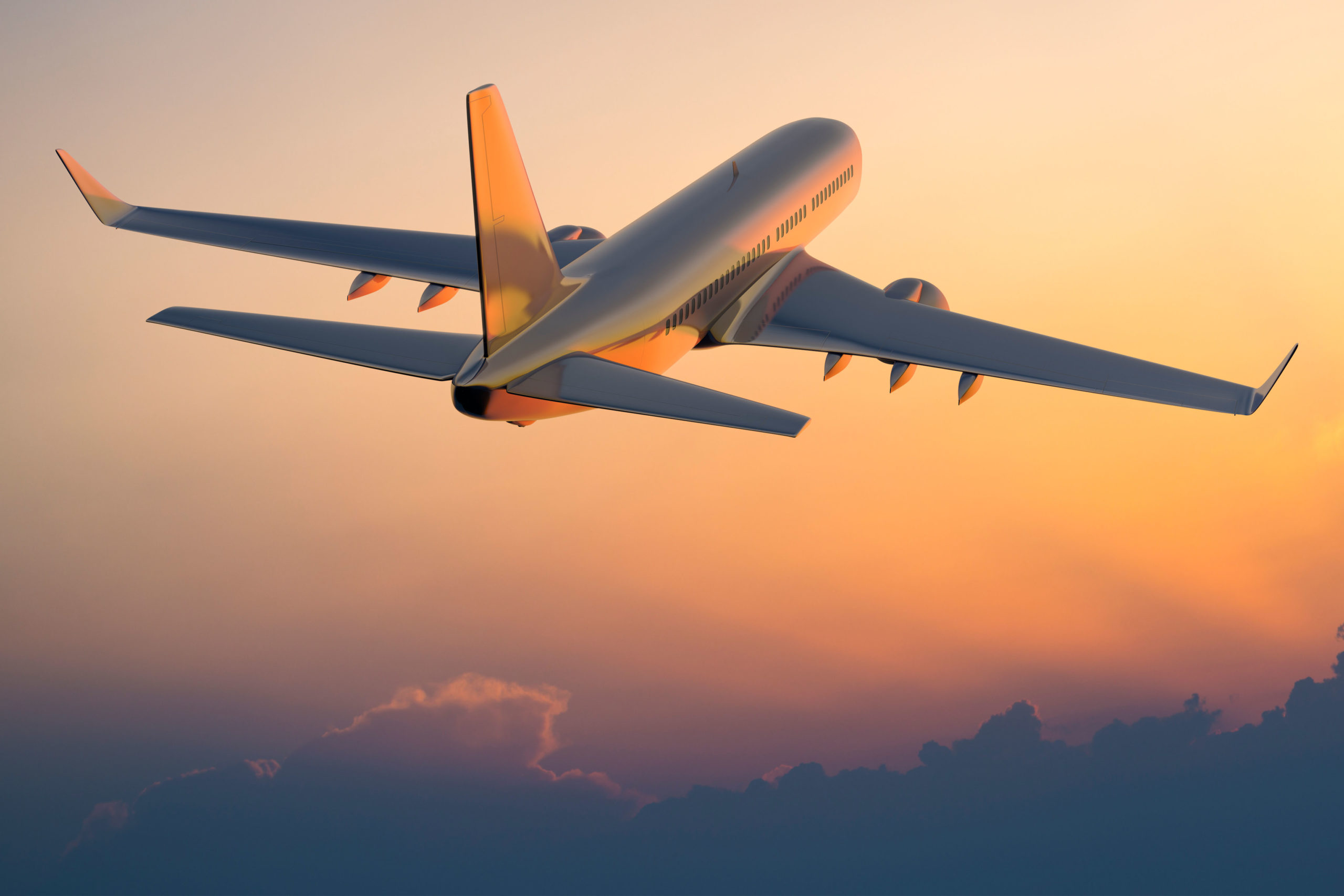 Travel Insurance 101