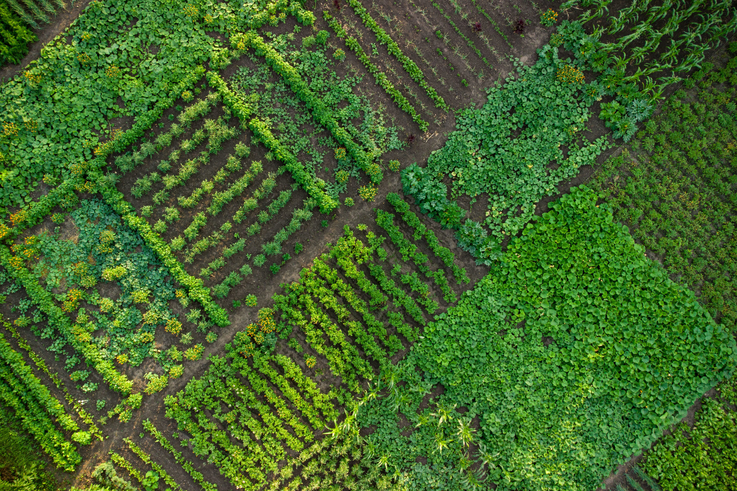 Annual Garden Calendar
