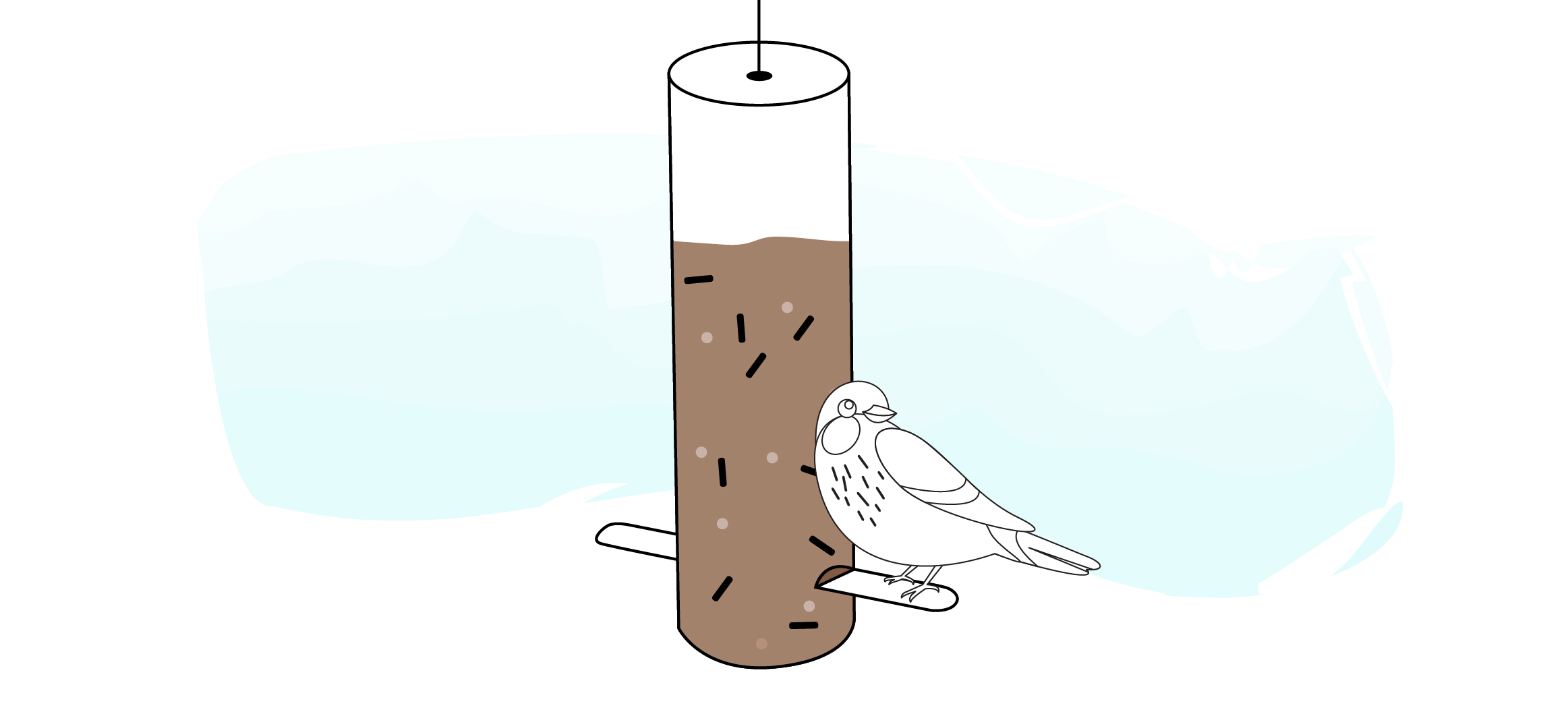 Thistle DIY bird feeders